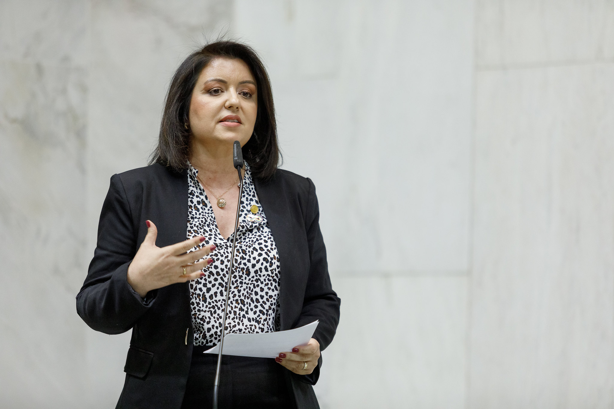 Andréa Werner: garantias a alunos com deficiência<a style='float:right;color:#ccc' href='https://www3.al.sp.gov.br/repositorio/noticia/N-08-2025/fg351463.jpg' target=_blank><i class='bi bi-zoom-in'></i> Clique para ver a imagem </a>