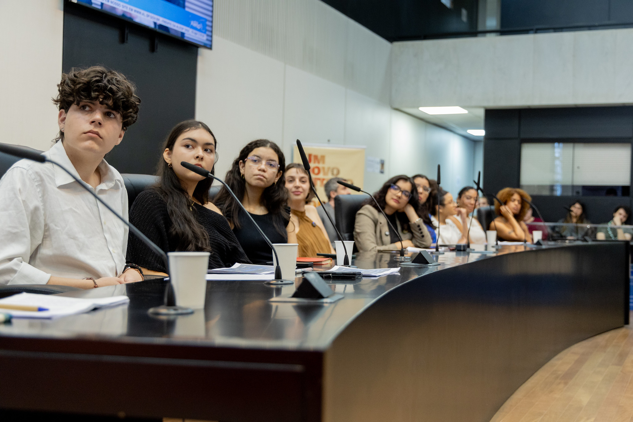 Embaixadores populares apresentam projetos<a style='float:right;color:#ccc' href='https://www3.al.sp.gov.br/repositorio/noticia/N-08-2025/fg351469.jpg' target=_blank><i class='bi bi-zoom-in'></i> Clique para ver a imagem </a>