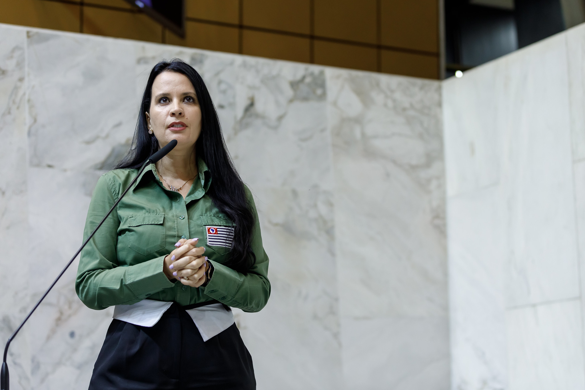 Letícia Aguiar autora de PL sobre Caminho do Ouro<a style='float:right;color:#ccc' href='https://www3.al.sp.gov.br/repositorio/noticia/N-08-2025/fg351482.jpg' target=_blank><i class='bi bi-zoom-in'></i> Clique para ver a imagem </a>