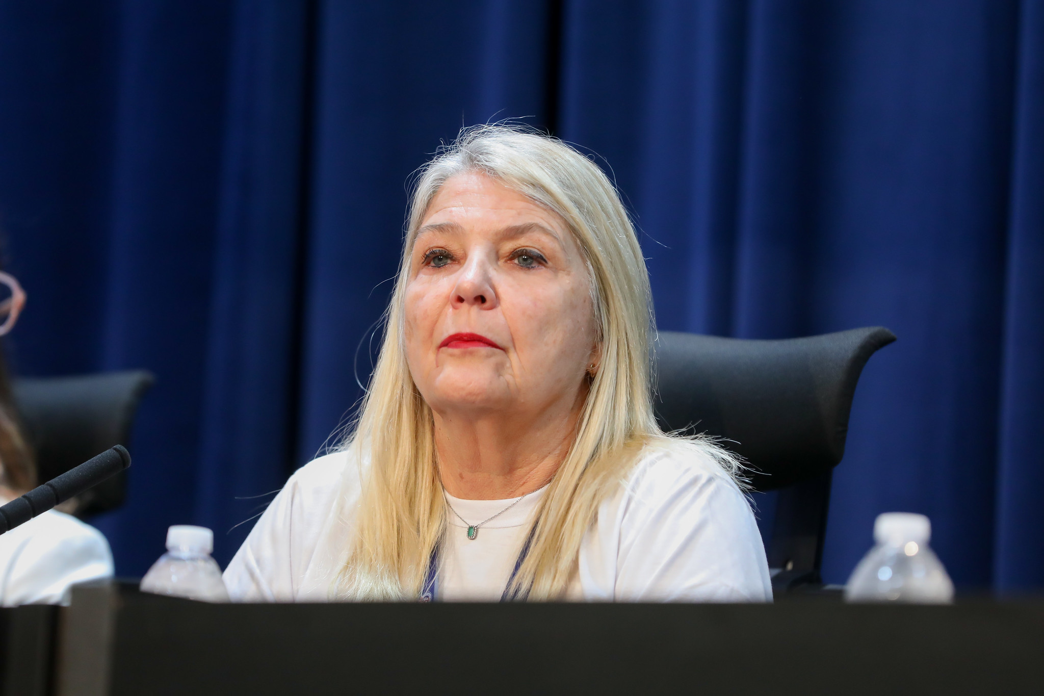 Silvia Tavares presidente do CFFa<a style='float:right;color:#ccc' href='https://www3.al.sp.gov.br/repositorio/noticia/N-08-2025/fg351750.jpg' target=_blank><i class='bi bi-zoom-in'></i> Clique para ver a imagem </a>