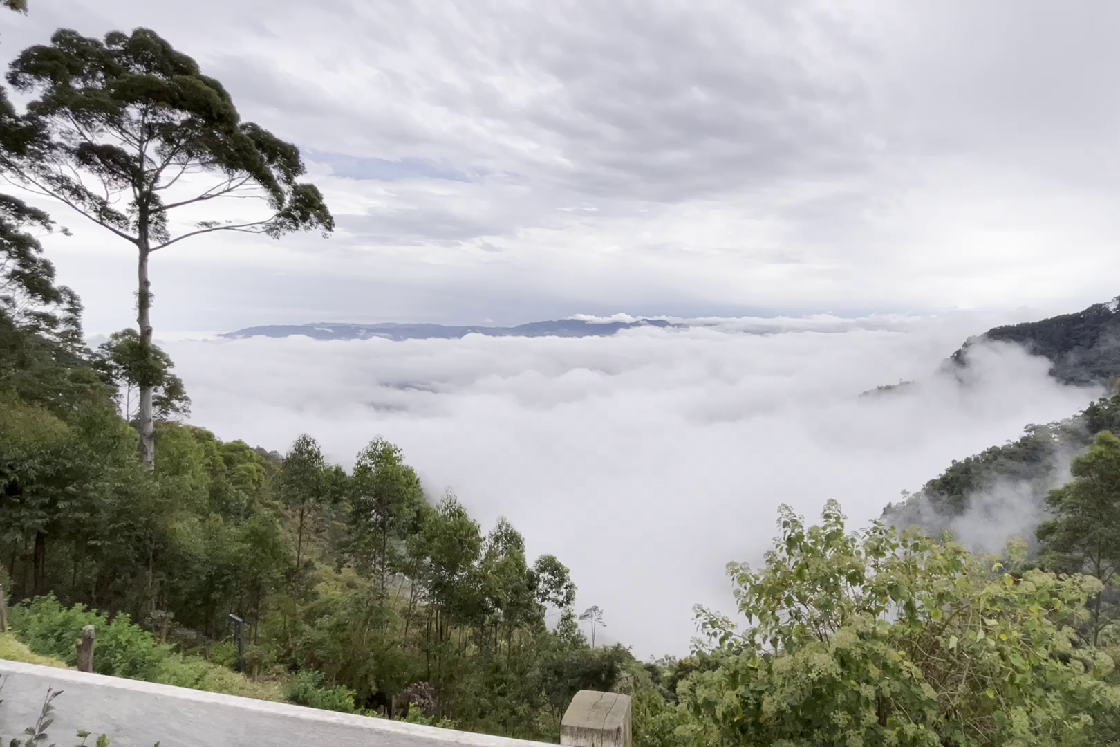 Cidade est� no cora��o da Serra da Mantiqueira<a style='float:right;color:#ccc' href='https://www3.al.sp.gov.br/repositorio/noticia/N-08-2026/fg367200.png' target=_blank><i class='bi bi-zoom-in'></i> Clique para ver a imagem </a>