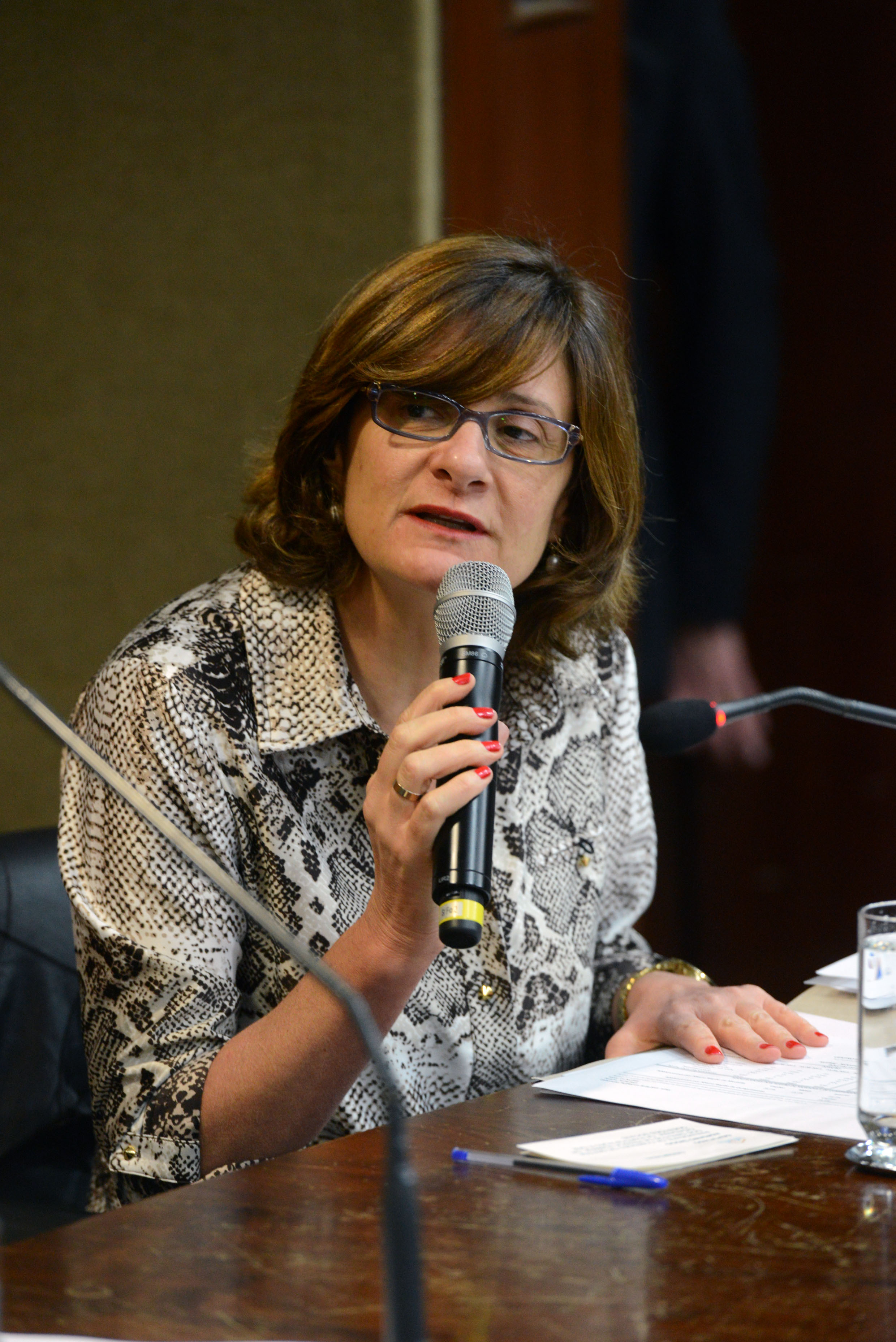 Berenice Gianella, presidente da Fundao CASA<a style='float:right;color:#ccc' href='https://www3.al.sp.gov.br/repositorio/noticia/N-09-2013/fg129271.jpg' target=_blank><i class='bi bi-zoom-in'></i> Clique para ver a imagem </a>
