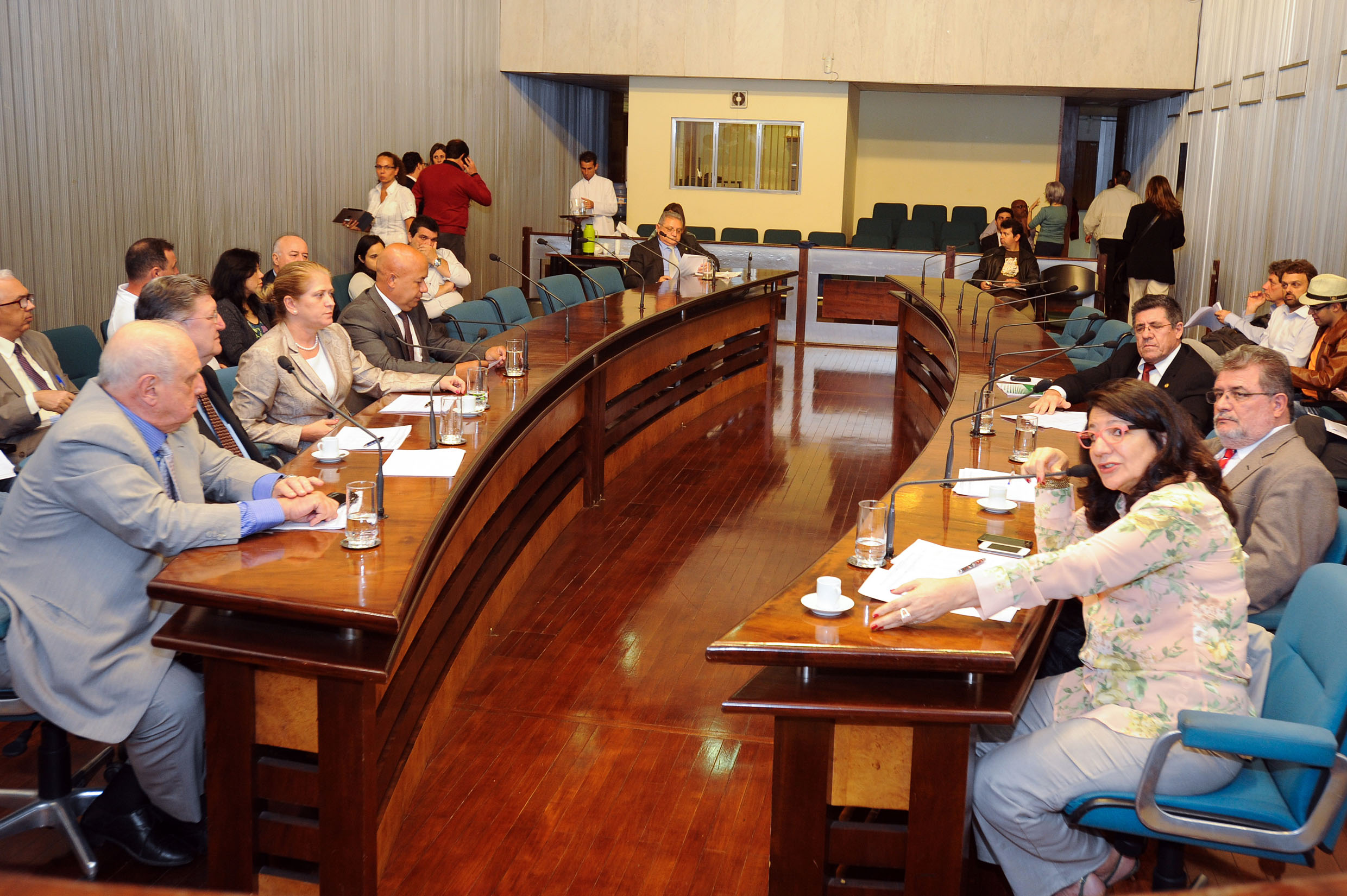 Calendrio das audincias pblicas para o Oramento estadual 2014<a style='float:right;color:#ccc' href='https://www3.al.sp.gov.br/repositorio/noticia/N-09-2013/fg129924.jpg' target=_blank><i class='bi bi-zoom-in'></i> Clique para ver a imagem </a>