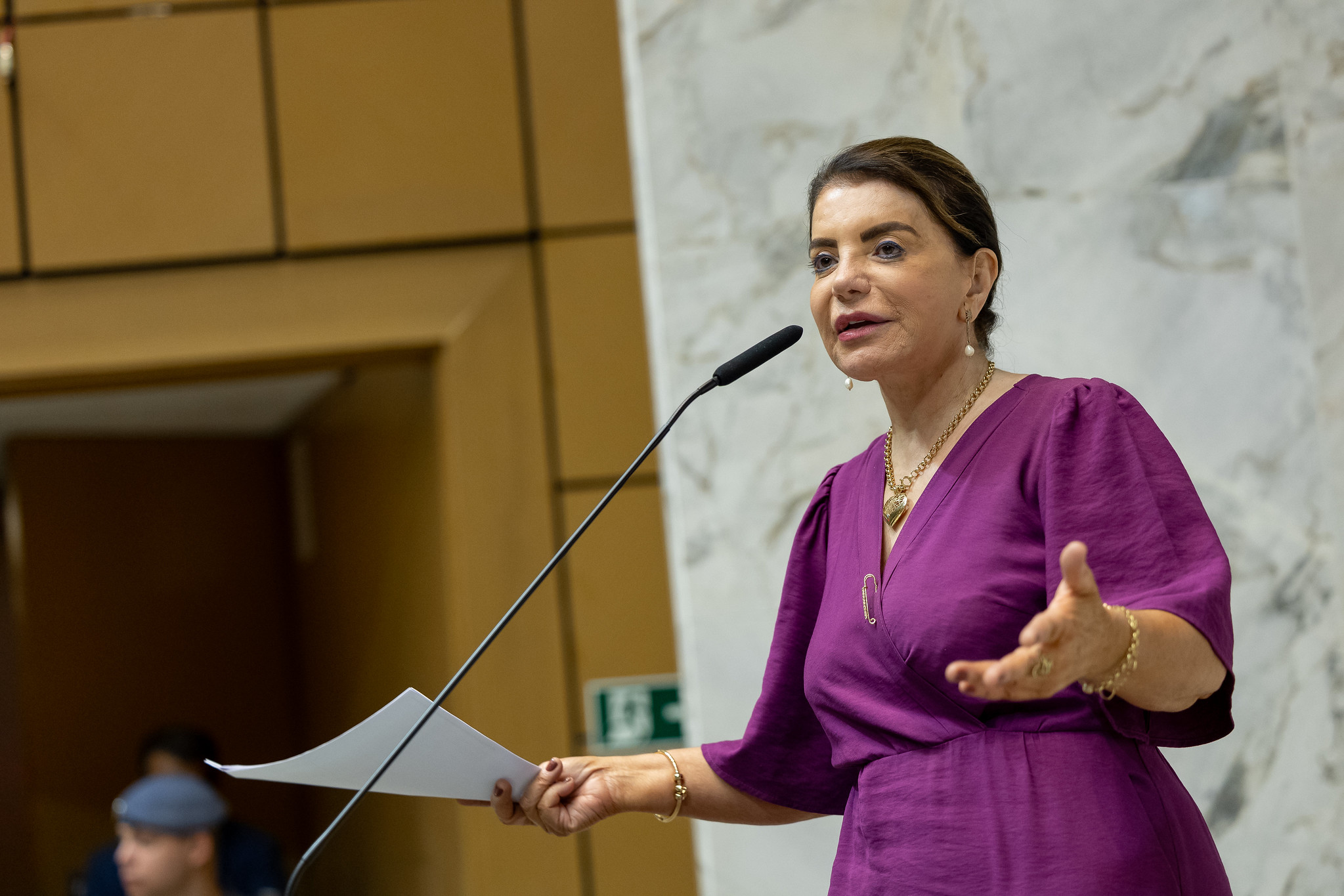 Sesso ordinria de quarta-feira (13/09)<a style='float:right;color:#ccc' href='https://www3.al.sp.gov.br/repositorio/noticia/N-09-2023/fg308671.jpg' target=_blank><i class='bi bi-zoom-in'></i> Clique para ver a imagem </a>