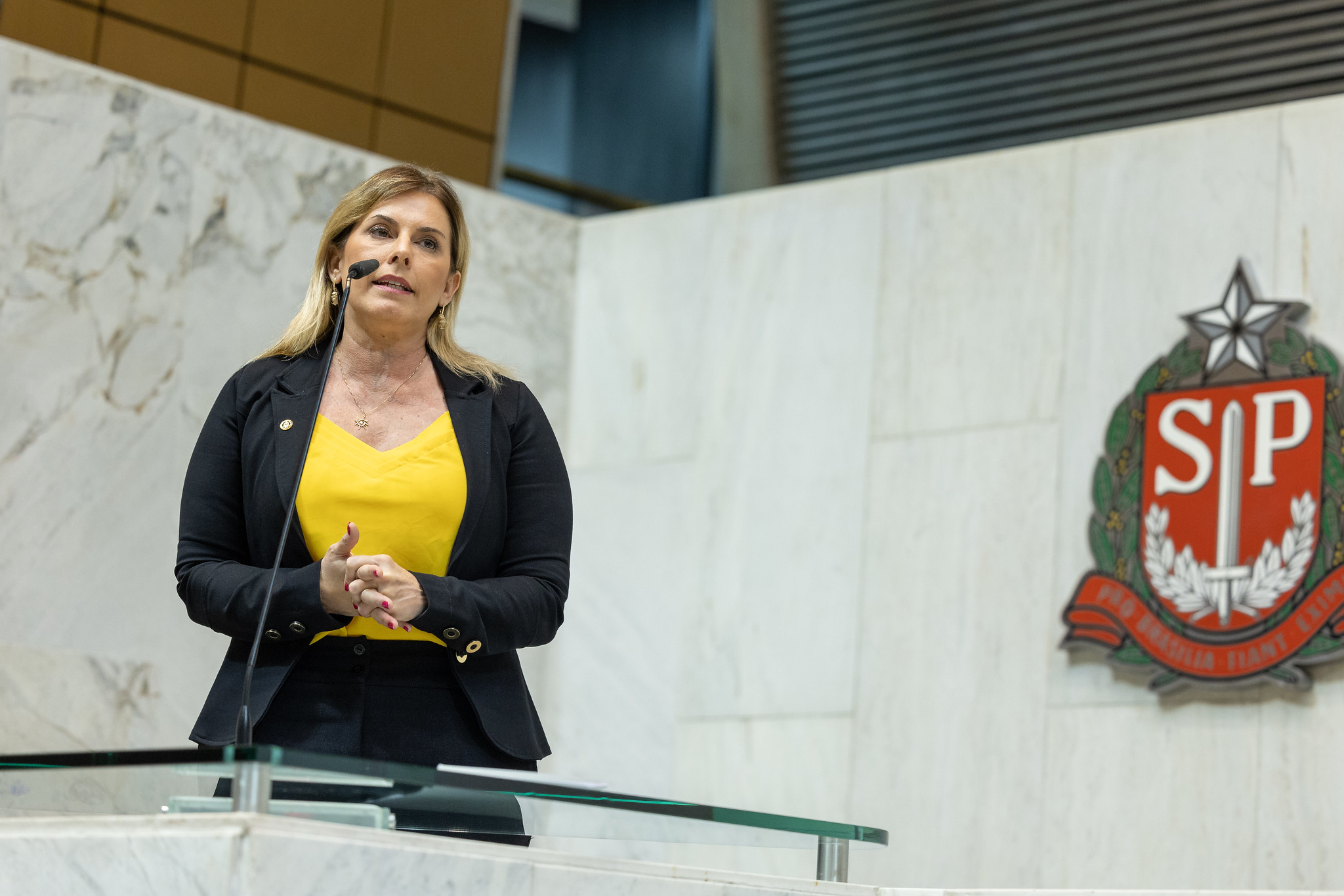 Dep. Solange Freitas (União)<a style='float:right;color:#ccc' href='https://www3.al.sp.gov.br/repositorio/noticia/N-09-2023/fg309501.jpg' target=_blank><i class='bi bi-zoom-in'></i> Clique para ver a imagem </a>