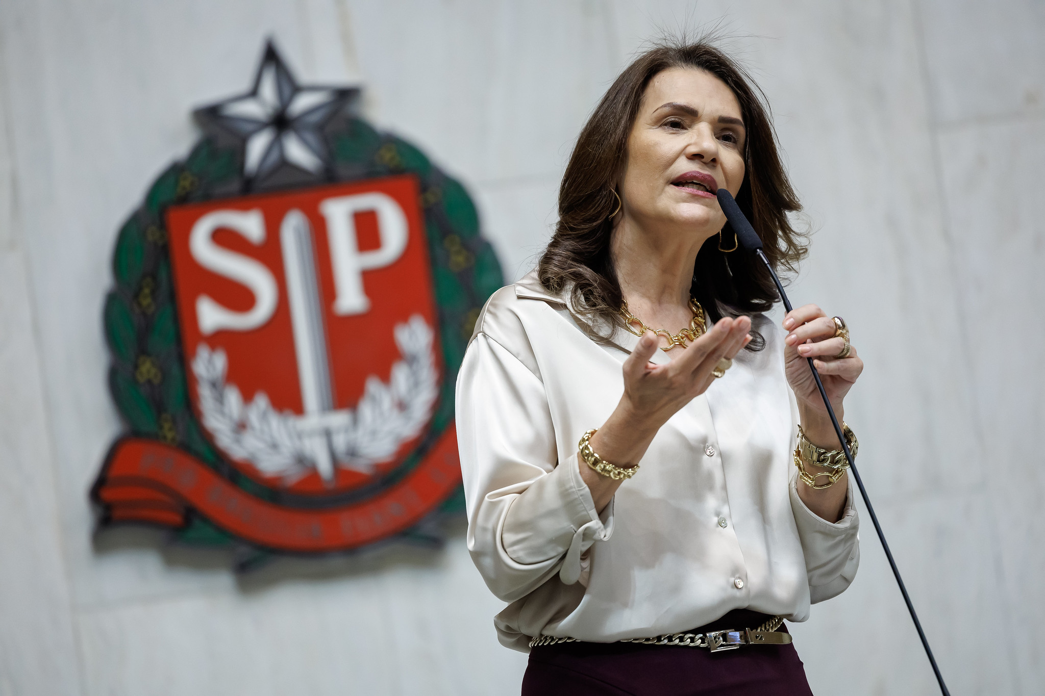 Valéria Bolsonaro participou do evento<a style='float:right;color:#ccc' href='https://www3.al.sp.gov.br/repositorio/noticia/N-09-2024/fg334525.jpg' target=_blank><i class='bi bi-zoom-in'></i> Clique para ver a imagem </a>