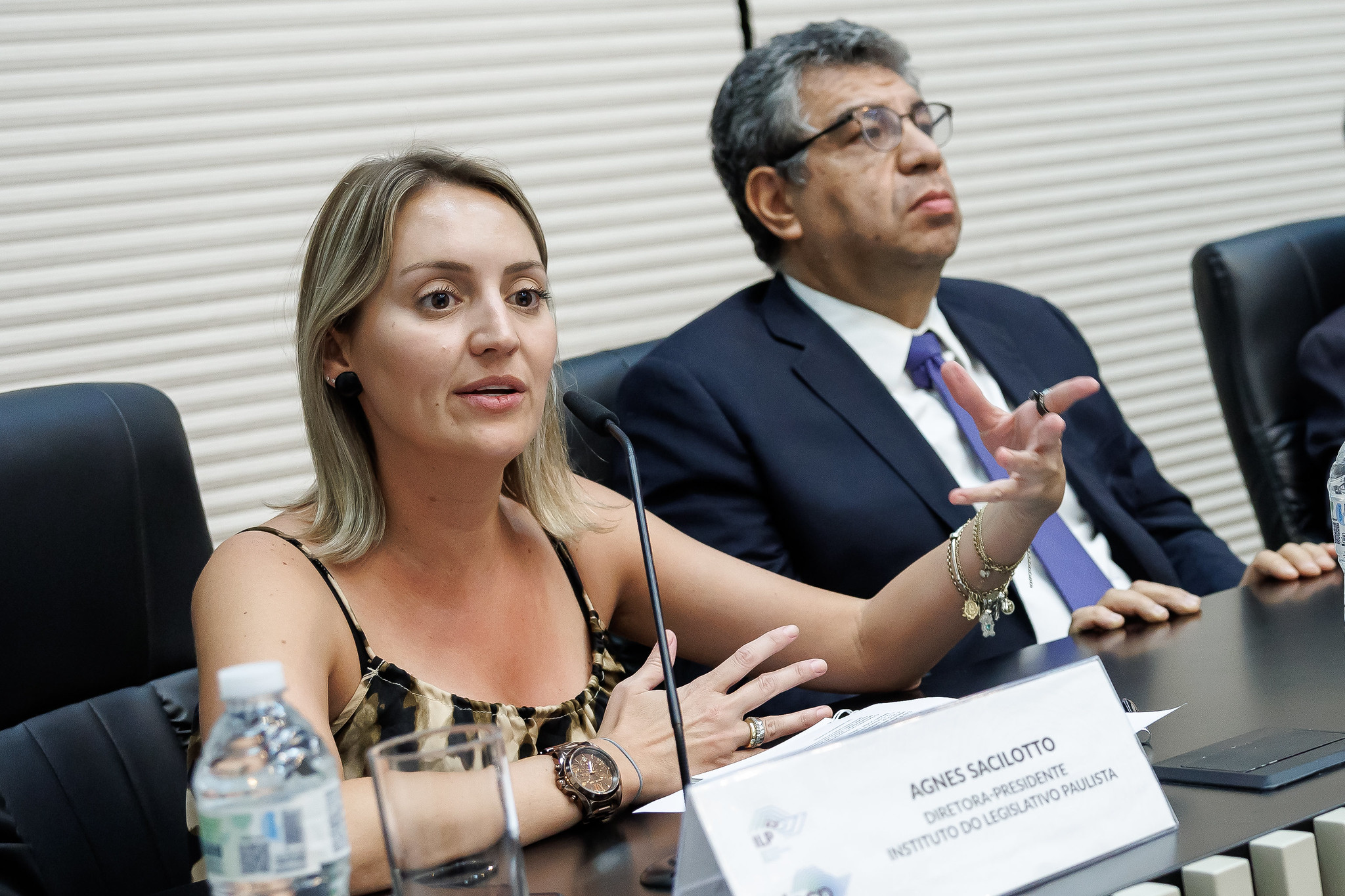 Agnes Sacilotto, presidente ILP: sinergia<a style='float:right;color:#ccc' href='https://www3.al.sp.gov.br/repositorio/noticia/N-09-2024/fg334682.jpg' target=_blank><i class='bi bi-zoom-in'></i> Clique para ver a imagem </a>