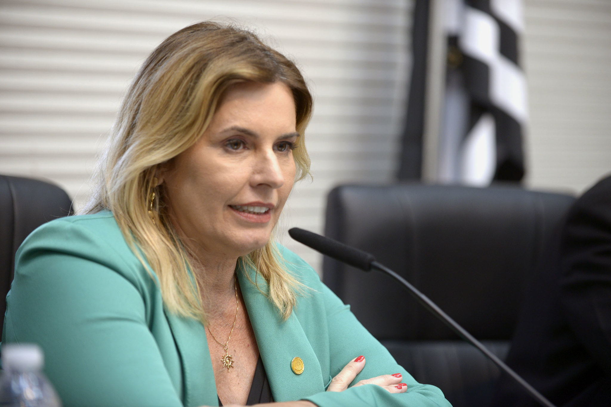 Dep. Solange Freitas <a style='float:right;color:#ccc' href='https://www3.al.sp.gov.br/repositorio/noticia/N-09-2024/fg334824.jpg' target=_blank><i class='bi bi-zoom-in'></i> Clique para ver a imagem </a>