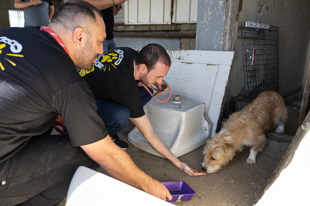 Projeto probe a guarda de animais por condenados<a style='float:right;color:#ccc' href='https://www3.al.sp.gov.br/repositorio/noticia/N-09-2025/fg352122.jpg' target=_blank><i class='bi bi-zoom-in'></i> Clique para ver a imagem </a>