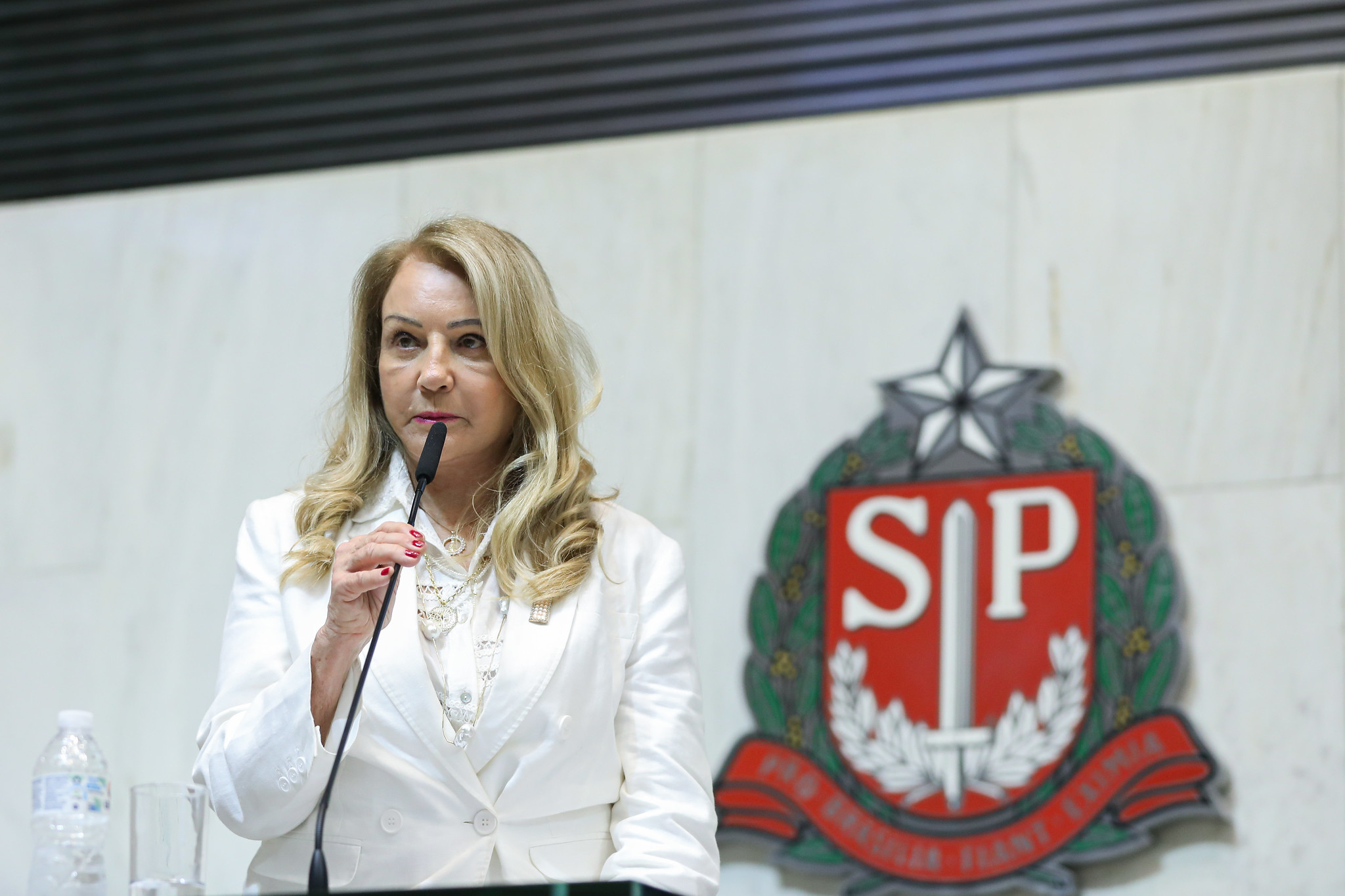 Amary (PSDB): trajetória é símbolo de pioneirismo, sensibilidade e firmeza<a style='float:right;color:#ccc' href='https://www3.al.sp.gov.br/repositorio/noticia/N-09-2025/fg352183.jpg' target=_blank><i class='bi bi-zoom-in'></i> Clique para ver a imagem </a>