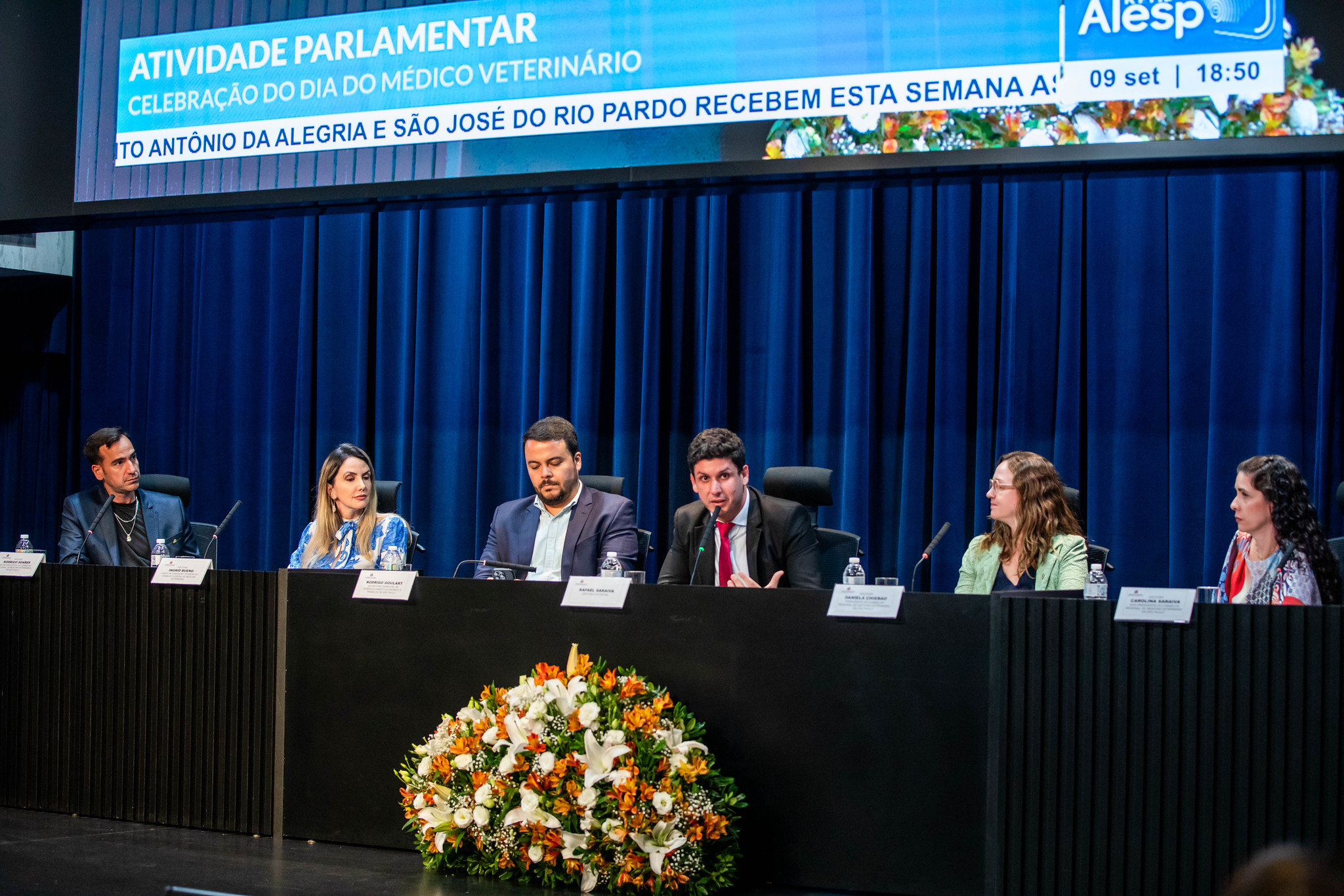 Ato solene ocorreu no auditrio Franco Montoro <a style='float:right;color:#ccc' href='https://www3.al.sp.gov.br/repositorio/noticia/N-09-2025/fg352294.jpg' target=_blank><i class='bi bi-zoom-in'></i> Clique para ver a imagem </a>
