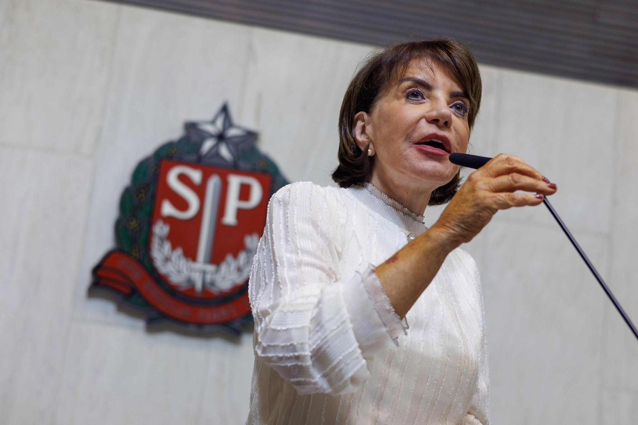 Deputada Professora Bebel<a style='float:right;color:#ccc' href='https://www3.al.sp.gov.br/repositorio/noticia/N-09-2025/fg352621.jpg' target=_blank><i class='bi bi-zoom-in'></i> Clique para ver a imagem </a>