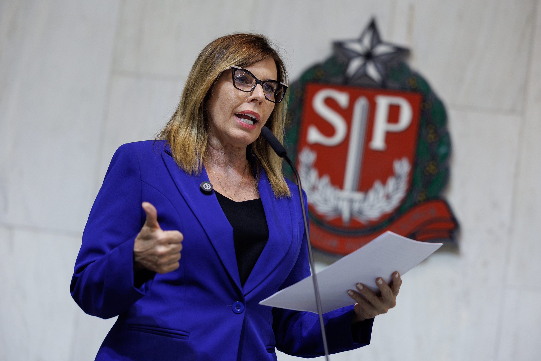 Deputada Solange Freitas <a style='float:right;color:#ccc' href='https://www3.al.sp.gov.br/repositorio/noticia/N-09-2025/fg353352.jpg' target=_blank><i class='bi bi-zoom-in'></i> Clique para ver a imagem </a>