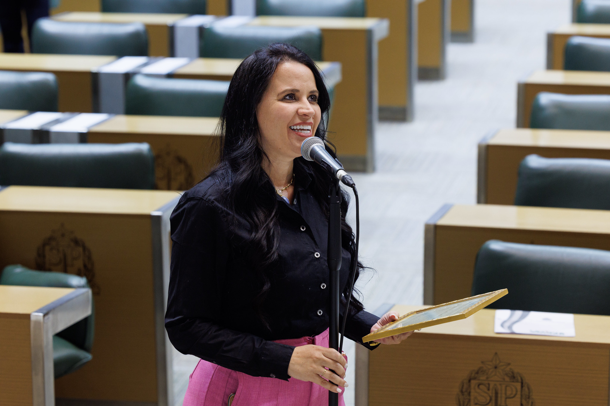 Letcia Aguiar (PL)<a style='float:right;color:#ccc' href='https://www3.al.sp.gov.br/repositorio/noticia/N-09-2025/fg353711.jpg' target=_blank><i class='bi bi-zoom-in'></i> Clique para ver a imagem </a>