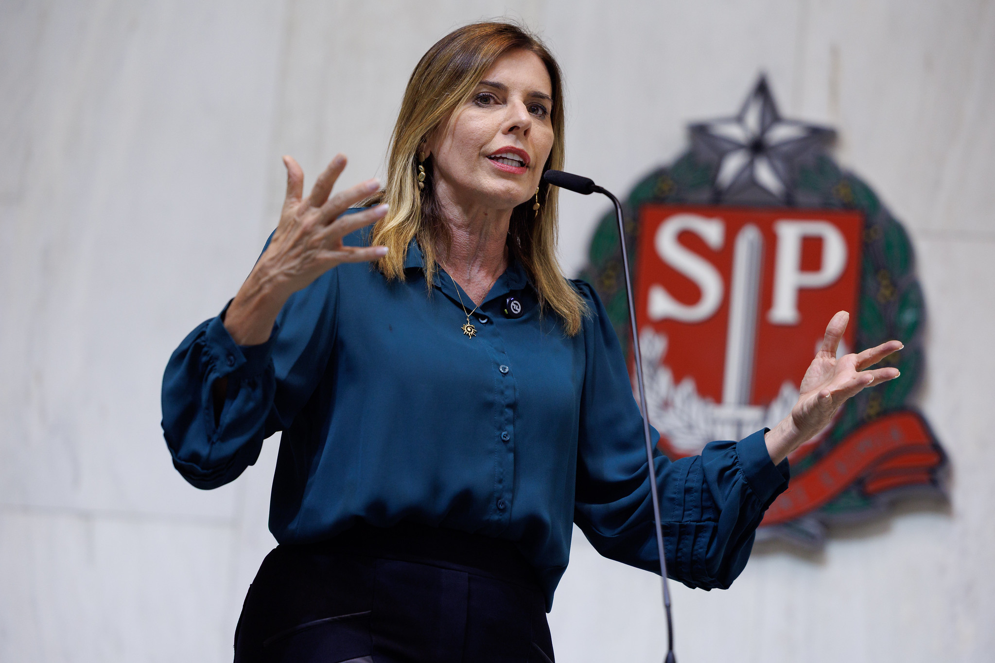 Solange Freitas (Unio)<a style='float:right;color:#ccc' href='https://www3.al.sp.gov.br/repositorio/noticia/N-09-2025/fg353714.jpg' target=_blank><i class='bi bi-zoom-in'></i> Clique para ver a imagem </a>