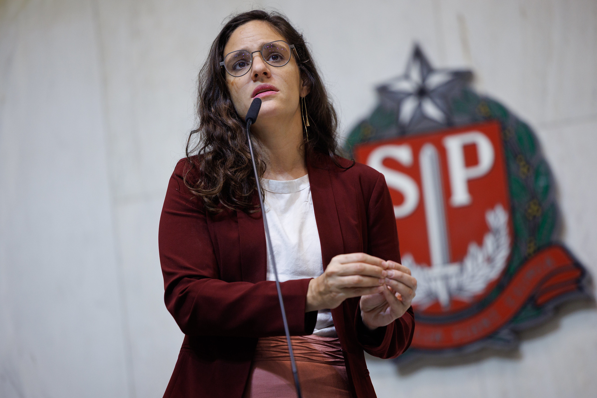 Marina Helou (Rede)<a style='float:right;color:#ccc' href='https://www3.al.sp.gov.br/repositorio/noticia/N-09-2025/fg353717.jpg' target=_blank><i class='bi bi-zoom-in'></i> Clique para ver a imagem </a>