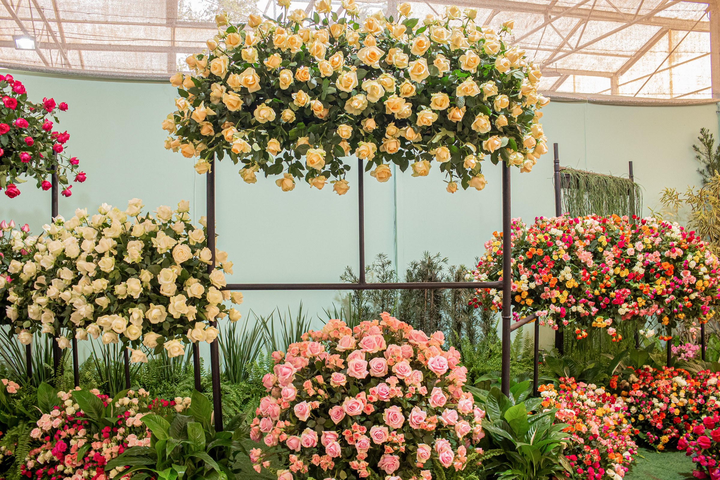 Flores diversas tamb�m s�o comercializadas <a style='float:right;color:#ccc' href='https://www3.al.sp.gov.br/repositorio/noticia/N-09-2026/fg367350.jpg' target=_blank><i class='bi bi-zoom-in'></i> Clique para ver a imagem </a>