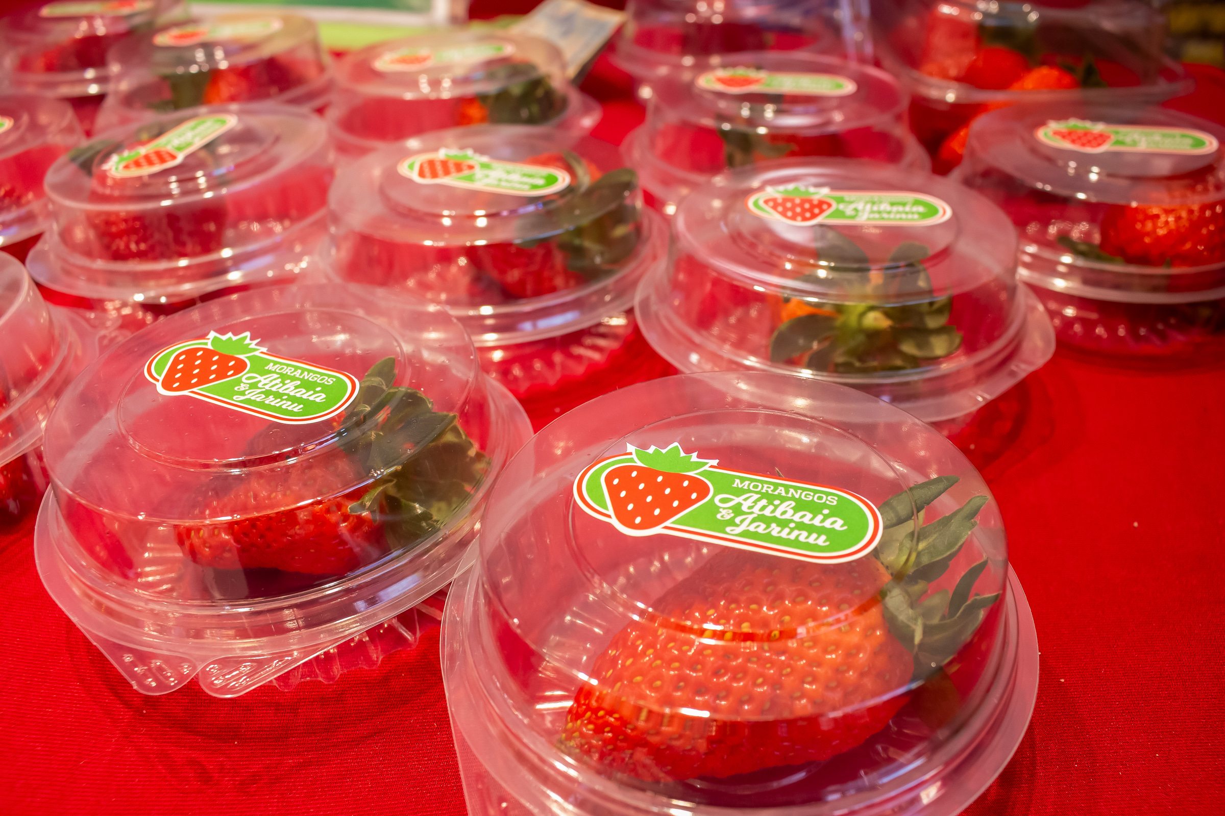 Doces de morango s�o comercializados<a style='float:right;color:#ccc' href='https://www3.al.sp.gov.br/repositorio/noticia/N-09-2026/fg367352.jpg' target=_blank><i class='bi bi-zoom-in'></i> Clique para ver a imagem </a>