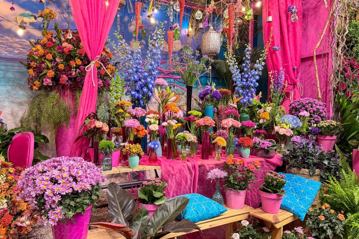 A expectativa esse ano � cerca de 300 mil pessoas<a style='float:right;color:#ccc' href='https://www3.al.sp.gov.br/repositorio/noticia/N-09-2026/fg367420.jpg' target=_blank><i class='bi bi-zoom-in'></i> Clique para ver a imagem </a>
