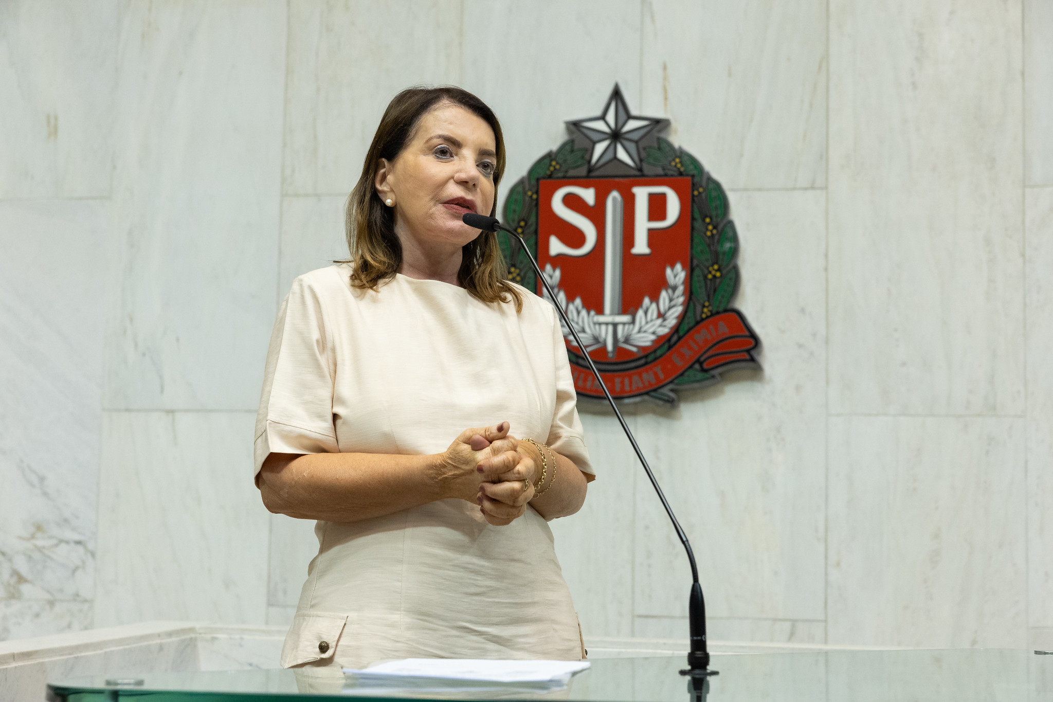 Deputada Professora Bebel<a style='float:right;color:#ccc' href='https://www3.al.sp.gov.br/repositorio/noticia/N-10-2023/fg310333.jpg' target=_blank><i class='bi bi-zoom-in'></i> Clique para ver a imagem </a>