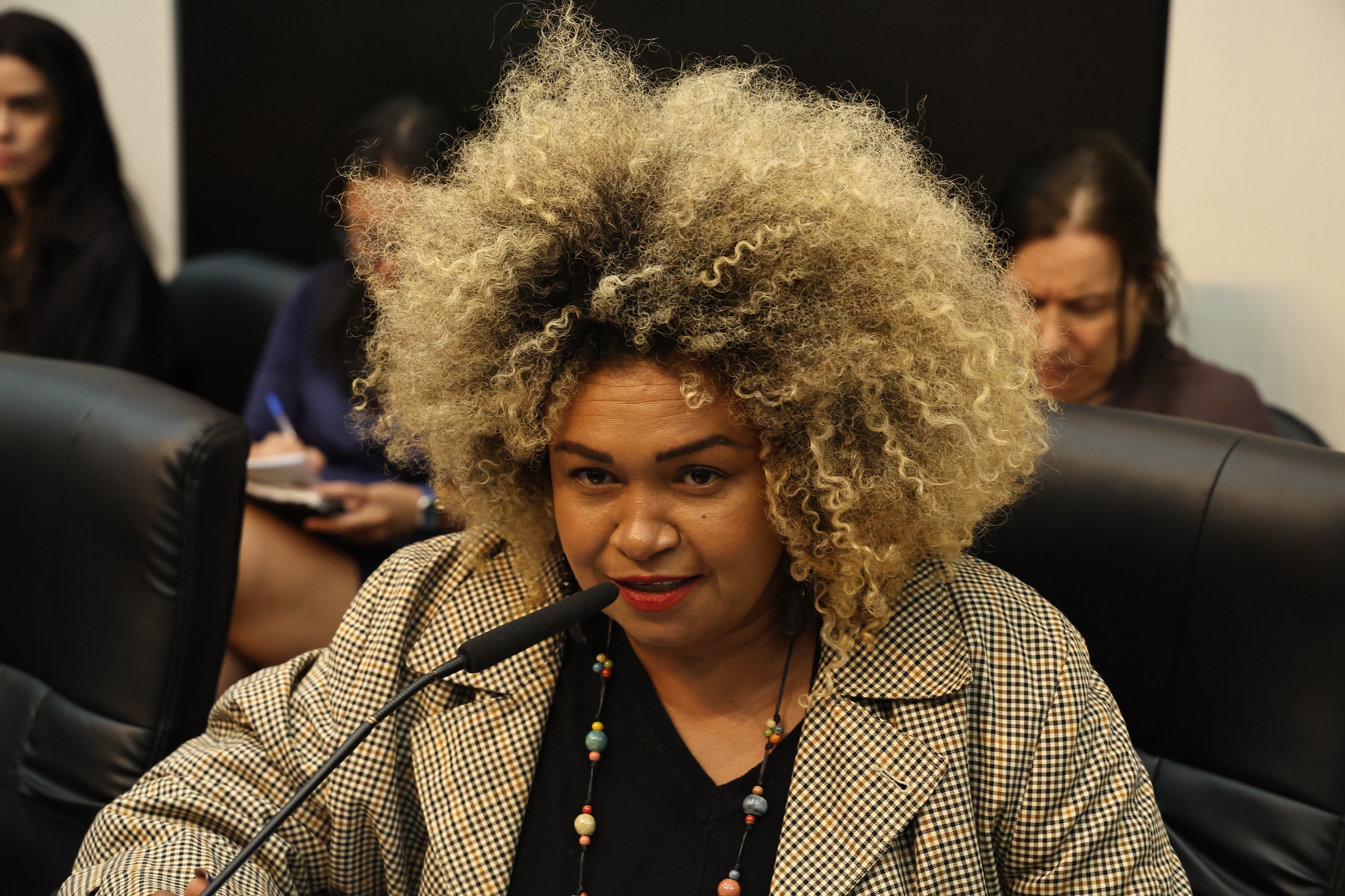 Dep. Ediane Maria (Psol)<a style='float:right;color:#ccc' href='https://www3.al.sp.gov.br/repositorio/noticia/N-10-2024/fg336409.jpg' target=_blank><i class='bi bi-zoom-in'></i> Clique para ver a imagem </a>