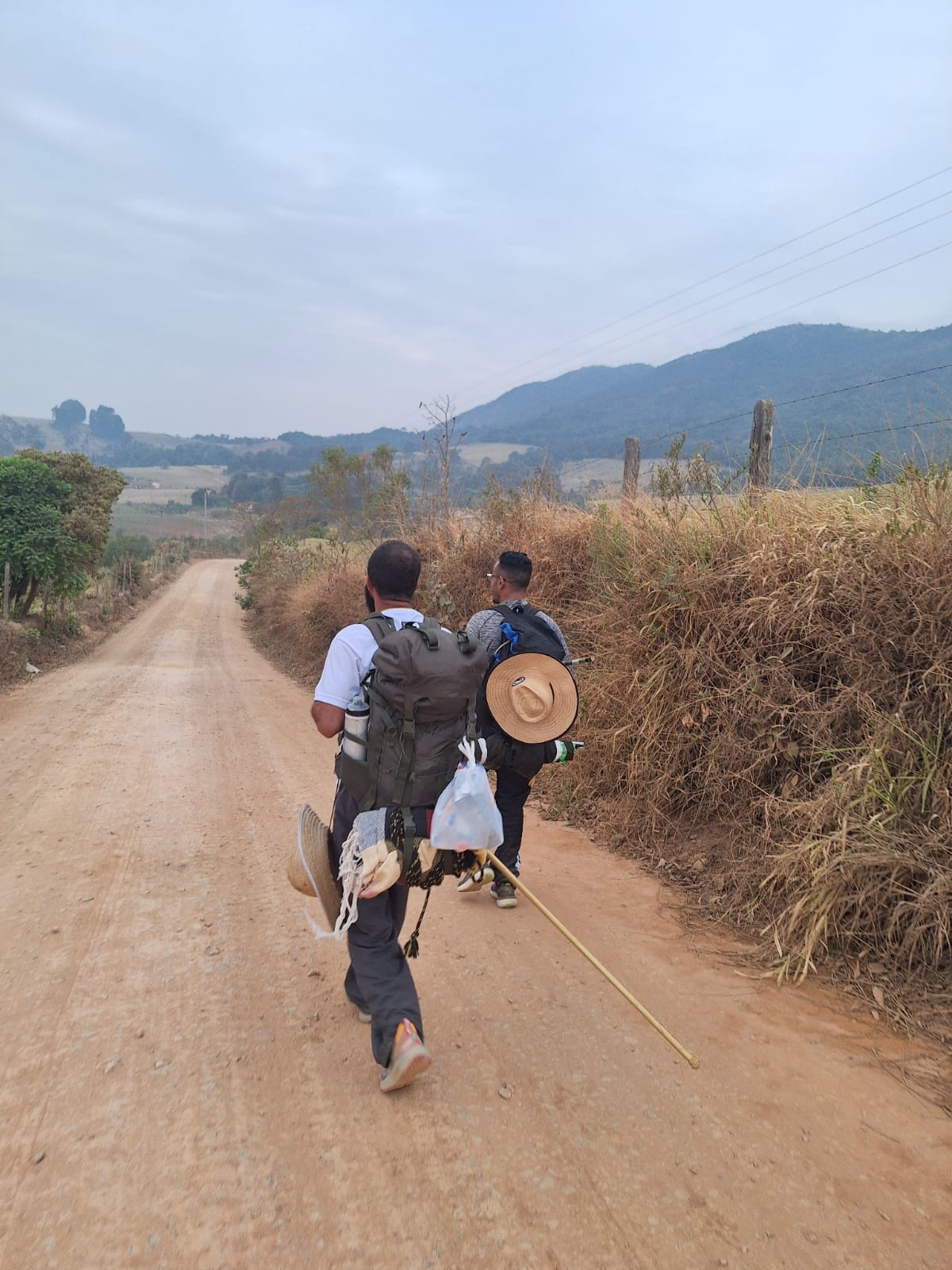 Romeiros a pé em Aparecida: forma de agradecer<a style='float:right;color:#ccc' href='https://www3.al.sp.gov.br/repositorio/noticia/N-10-2024/fg336525.jpeg' target=_blank><i class='bi bi-zoom-in'></i> Clique para ver a imagem </a>