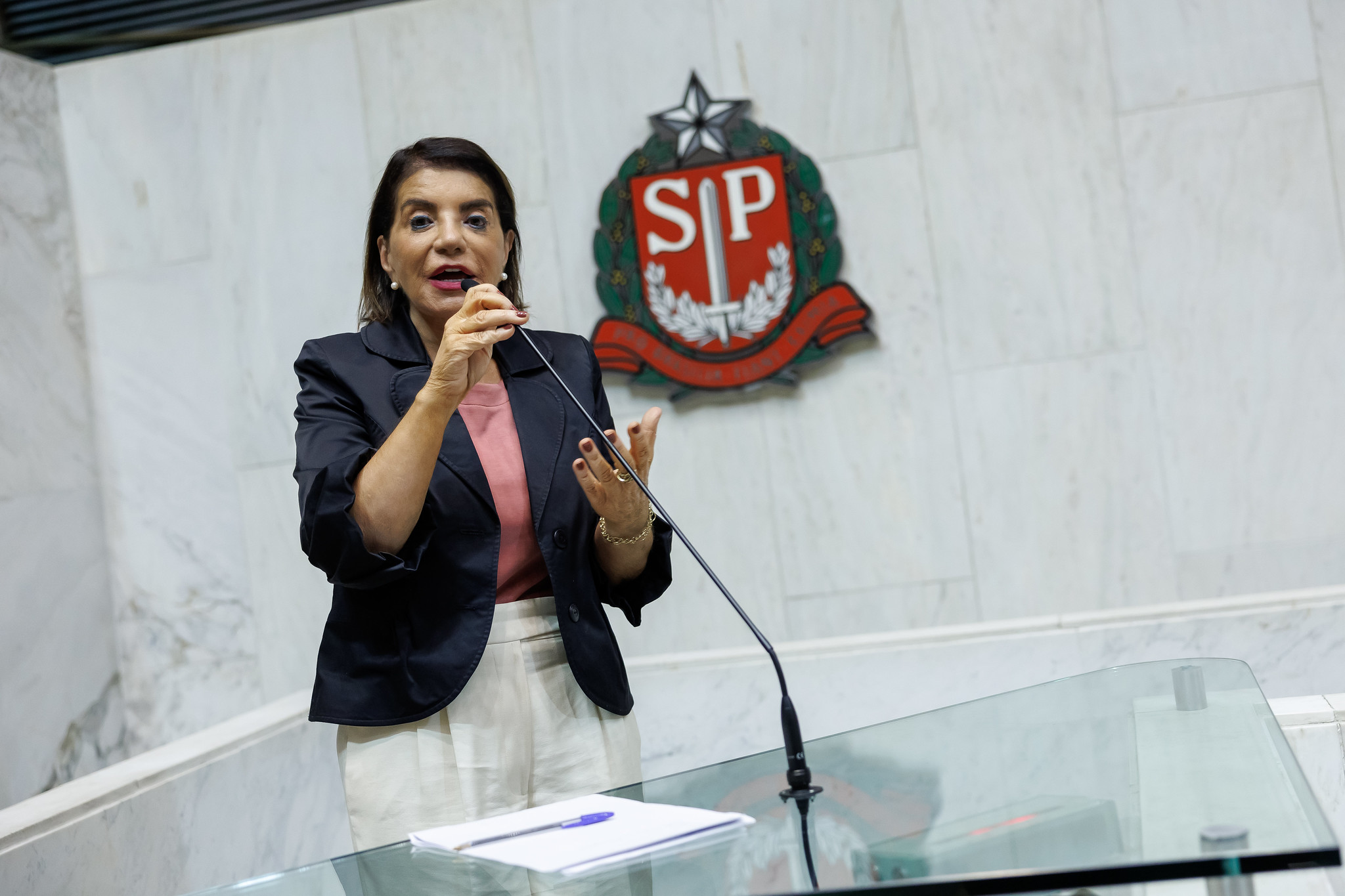 Dep. Professora Bebel (PT)<a style='float:right;color:#ccc' href='https://www3.al.sp.gov.br/repositorio/noticia/N-10-2024/fg336624.jpg' target=_blank><i class='bi bi-zoom-in'></i> Clique para ver a imagem </a>