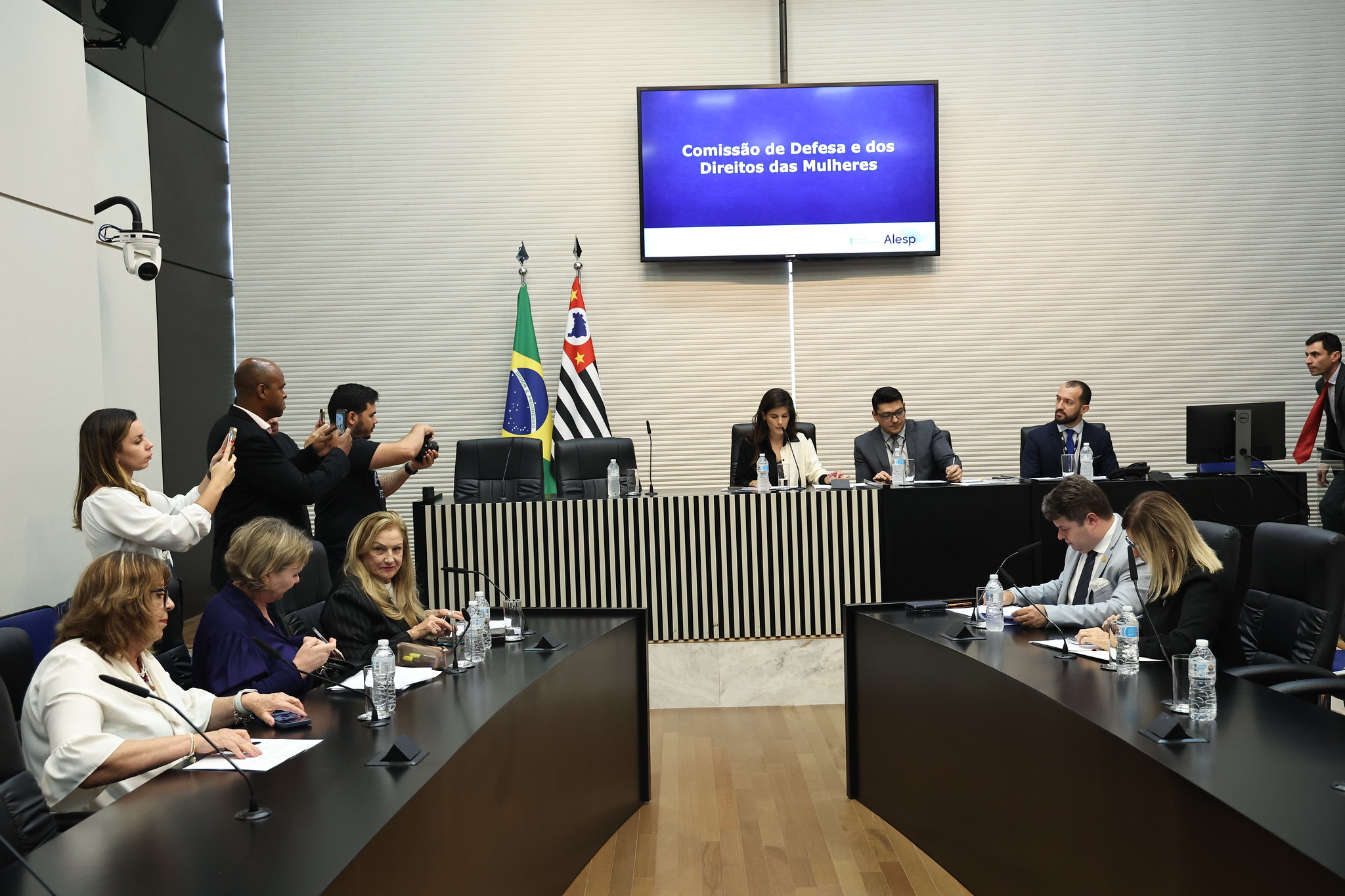 Reunio de Comisso: Direito das Mulheres<a style='float:right;color:#ccc' href='https://www3.al.sp.gov.br/repositorio/noticia/N-10-2024/fg337129.jpg' target=_blank><i class='bi bi-zoom-in'></i> Clique para ver a imagem </a>