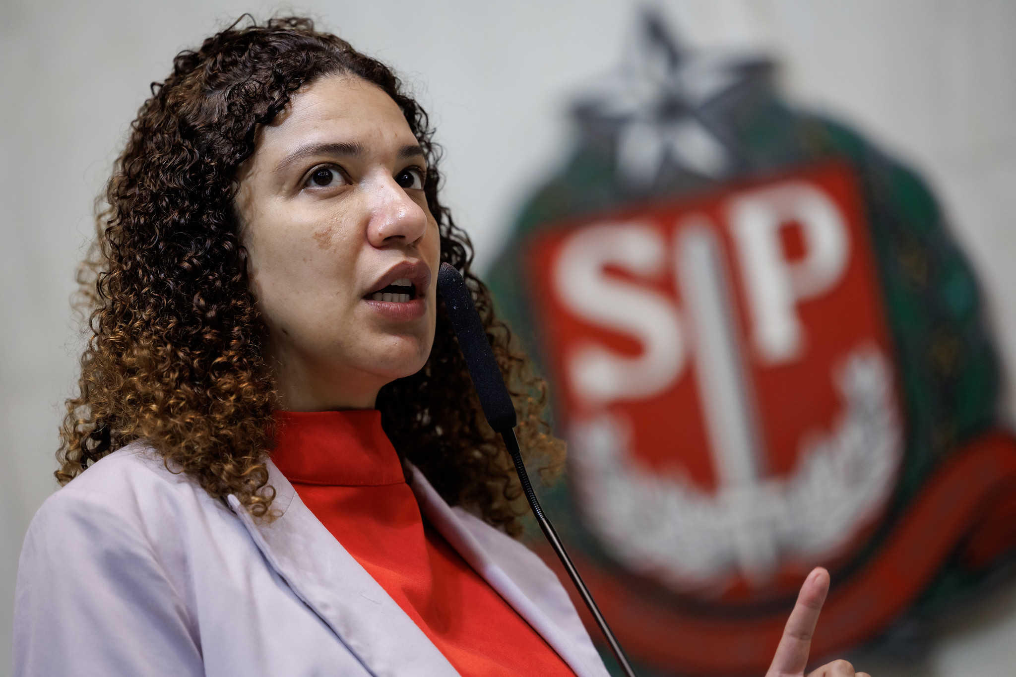 Monica Seixas do Movimento Pretas: crise climtica<a style='float:right;color:#ccc' href='https://www3.al.sp.gov.br/repositorio/noticia/N-10-2025/fg353783.jpg' target=_blank><i class='bi bi-zoom-in'></i> Clique para ver a imagem </a>