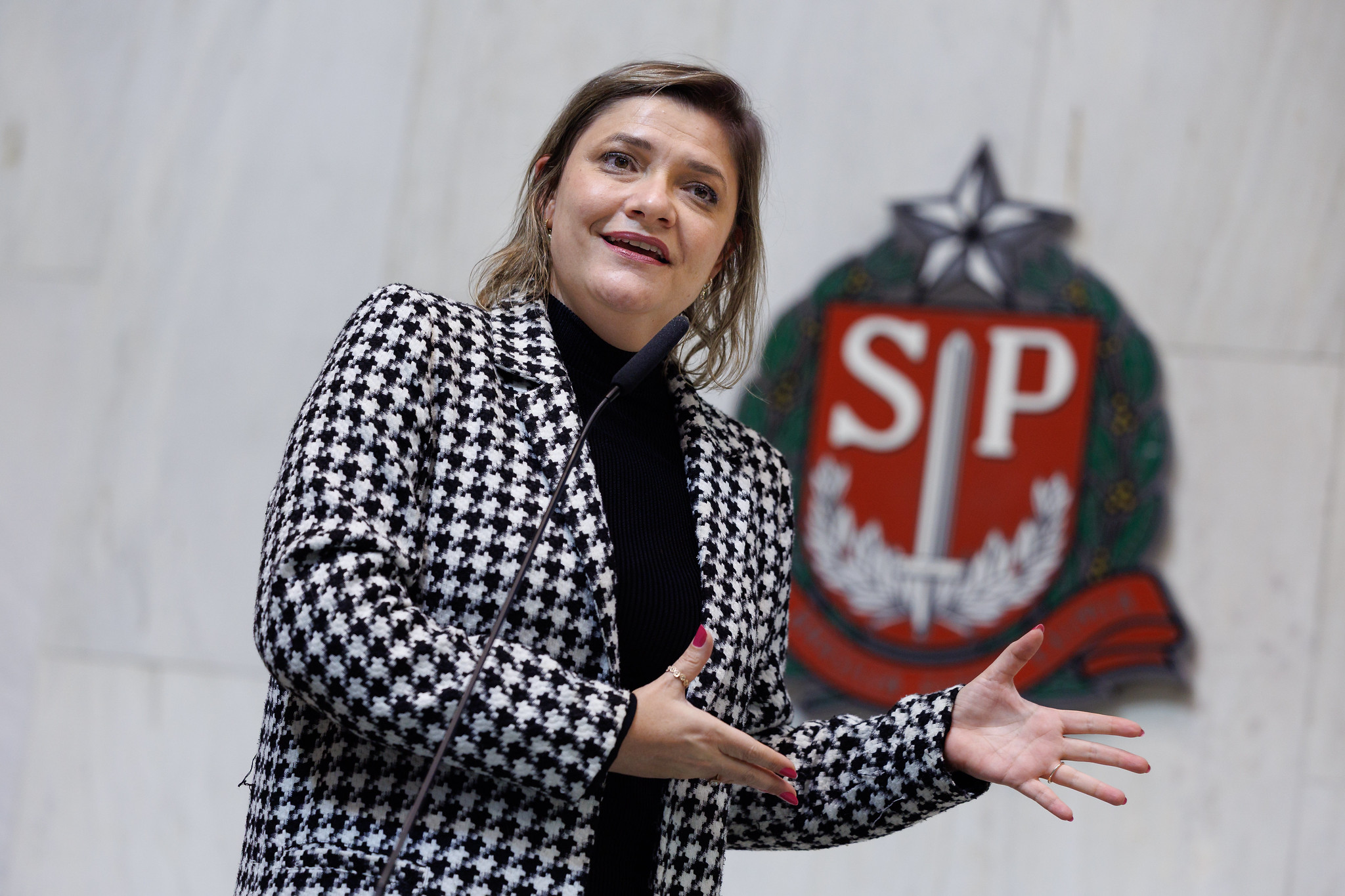 Luciene: contrria ao predomnio econmico<a style='float:right' href='https://www3.al.sp.gov.br/repositorio/noticia/N-10-2025/fg354003.jpg' target=_blank><img src='/_img/material-file-download-white.png' width='14px' alt='Clique para baixar a imagem'></a>