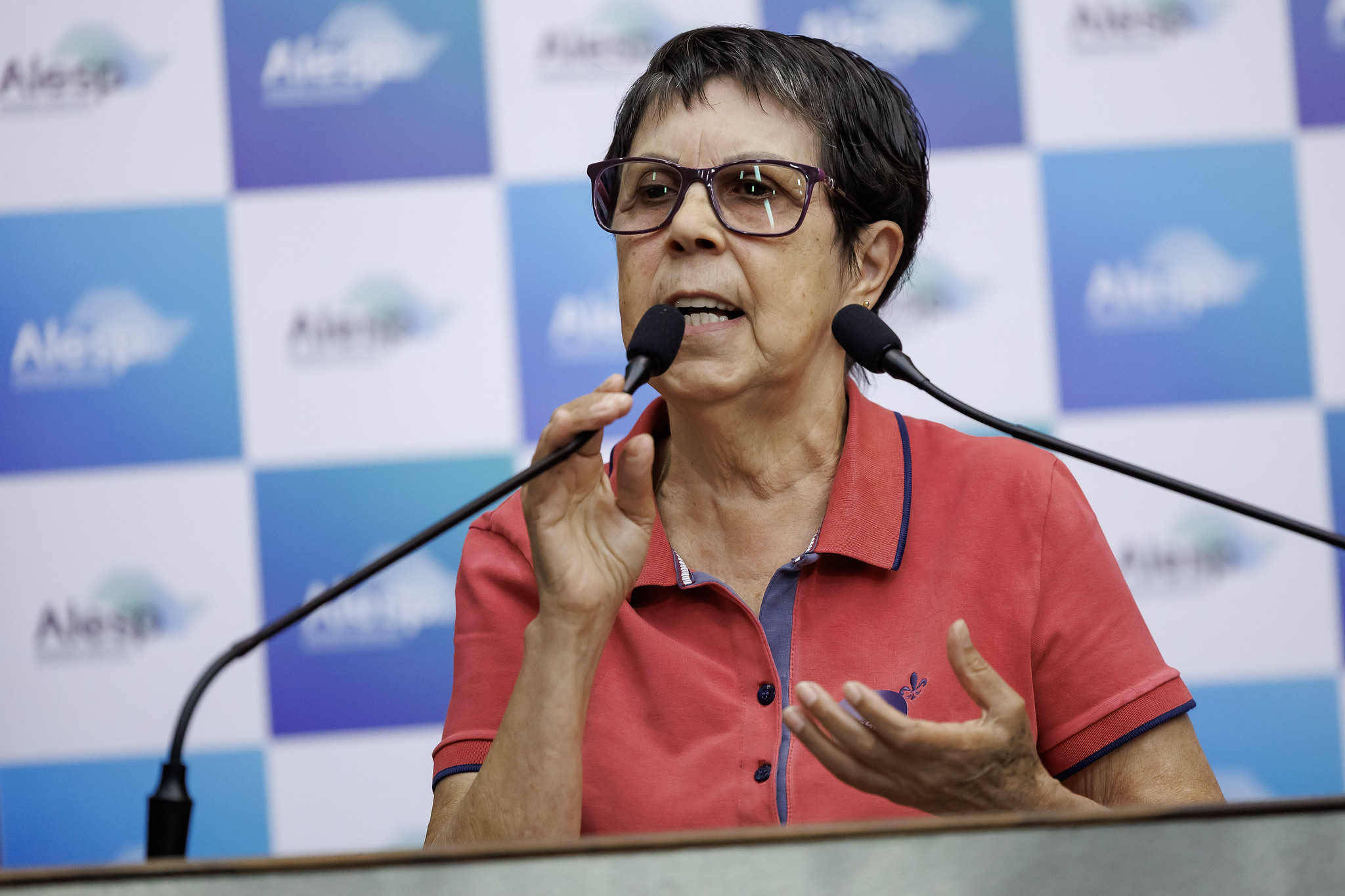 Ex-deputada Ana do Carmo: sade<a style='float:right;color:#ccc' href='https://www3.al.sp.gov.br/repositorio/noticia/N-10-2025/fg354015.jpg' target=_blank><i class='bi bi-zoom-in'></i> Clique para ver a imagem </a>