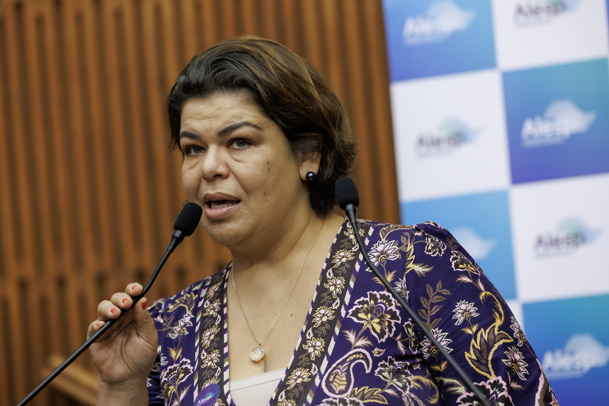 Eliana Caldeira: onde no h risco, o mais coerente  fazer a regularizao fundiria<a style='float:right;color:#ccc' href='https://www3.al.sp.gov.br/repositorio/noticia/N-10-2025/fg354024.jpg' target=_blank><i class='bi bi-zoom-in'></i> Clique para ver a imagem </a>