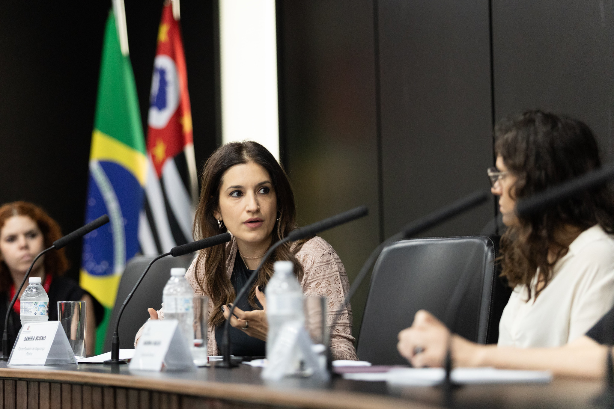 Samira:  vtimas negras morrem 3,7 vezes mais<a style='float:right;color:#ccc' href='https://www3.al.sp.gov.br/repositorio/noticia/N-10-2025/fg354046.jpg' target=_blank><i class='bi bi-zoom-in'></i> Clique para ver a imagem </a>