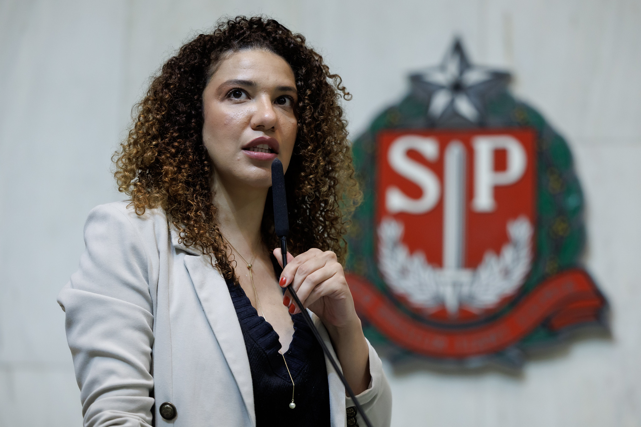 Dep. Monica Seixas do Movimento Pretas<a style='float:right;color:#ccc' href='https://www3.al.sp.gov.br/repositorio/noticia/N-10-2025/fg354180.jpg' target=_blank><i class='bi bi-zoom-in'></i> Clique para ver a imagem </a>