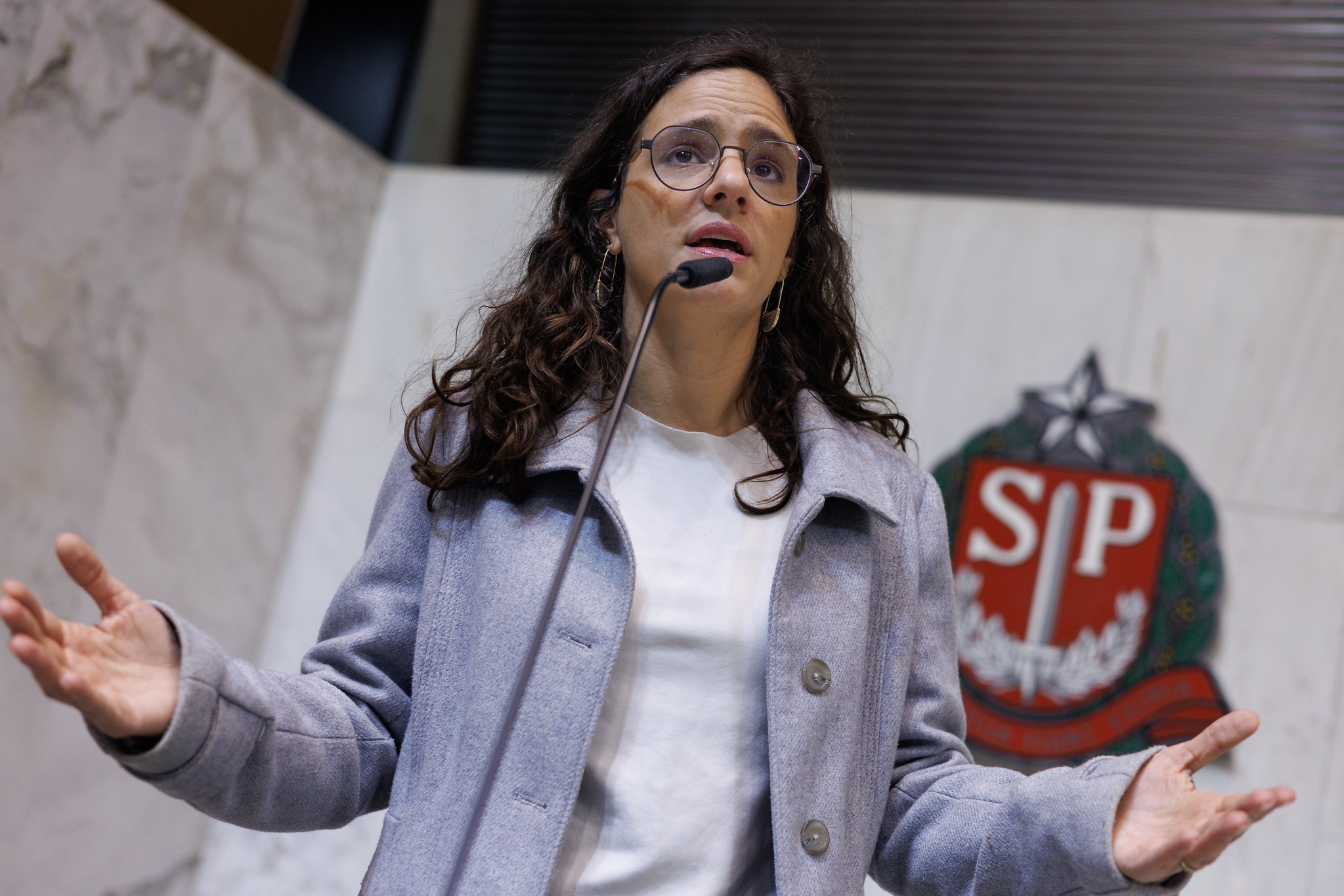 Deputada Marina Helou<a style='float:right;color:#ccc' href='https://www3.al.sp.gov.br/repositorio/noticia/N-10-2025/fg354288.jpg' target=_blank><i class='bi bi-zoom-in'></i> Clique para ver a imagem </a>