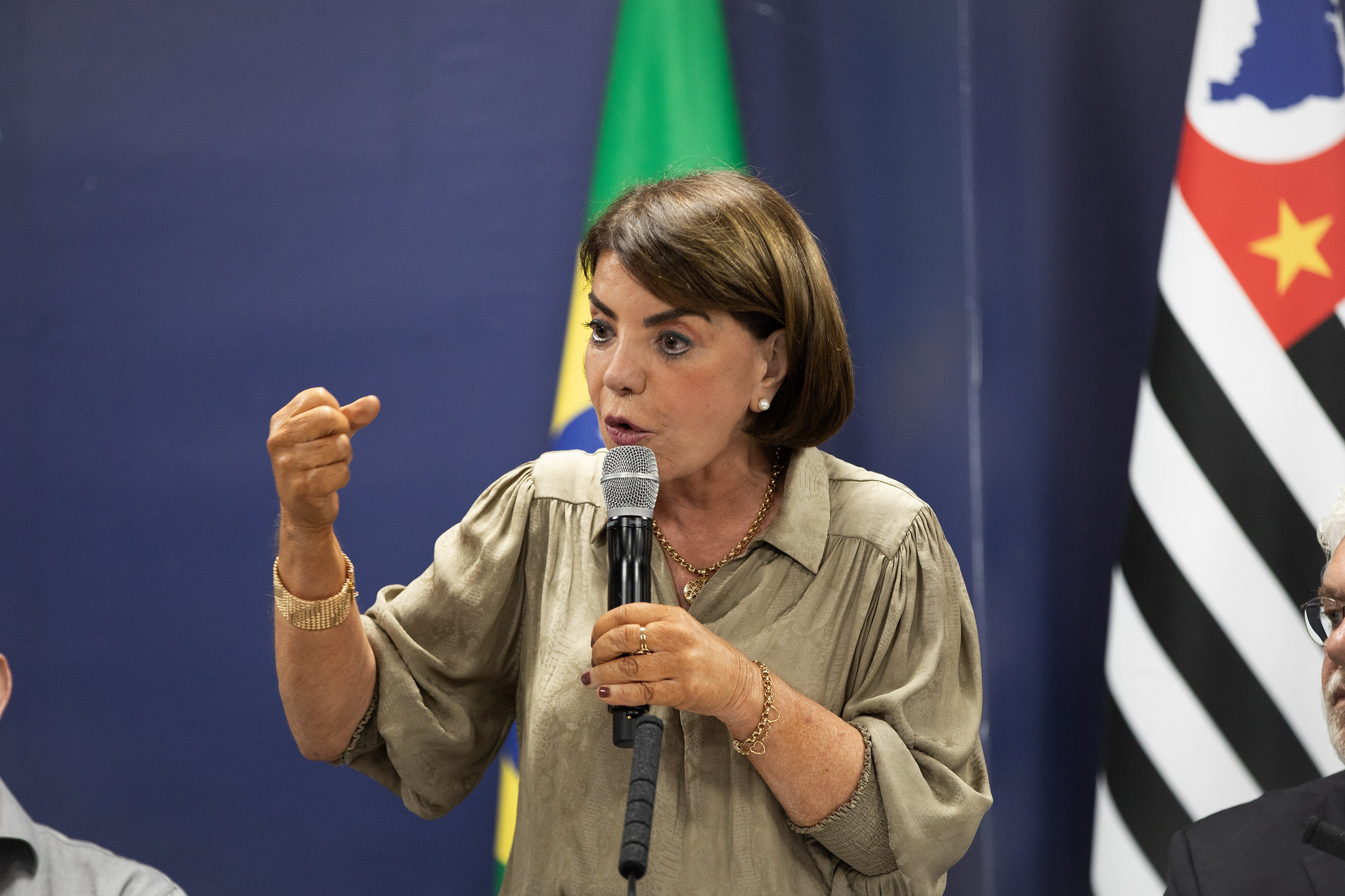 Bebel quer que a sociedade debata a educao<a style='float:right;color:#ccc' href='https://www3.al.sp.gov.br/repositorio/noticia/N-10-2025/fg354783.jpg' target=_blank><i class='bi bi-zoom-in'></i> Clique para ver a imagem </a>