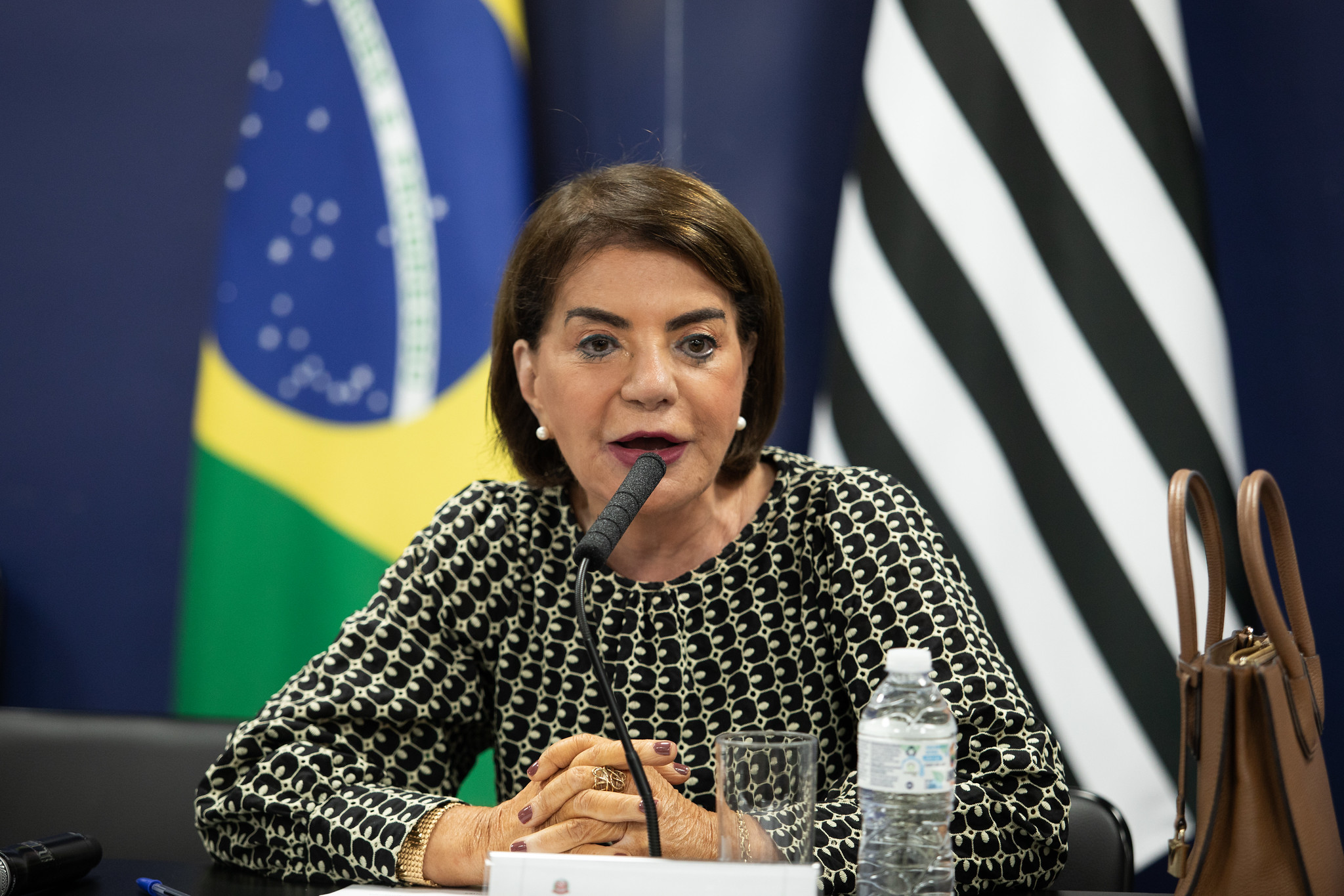 Bebel: somos autoridades em ser educadores<a style='float:right;color:#ccc' href='https://www3.al.sp.gov.br/repositorio/noticia/N-10-2025/fg354854.jpg' target=_blank><i class='bi bi-zoom-in'></i> Clique para ver a imagem </a>