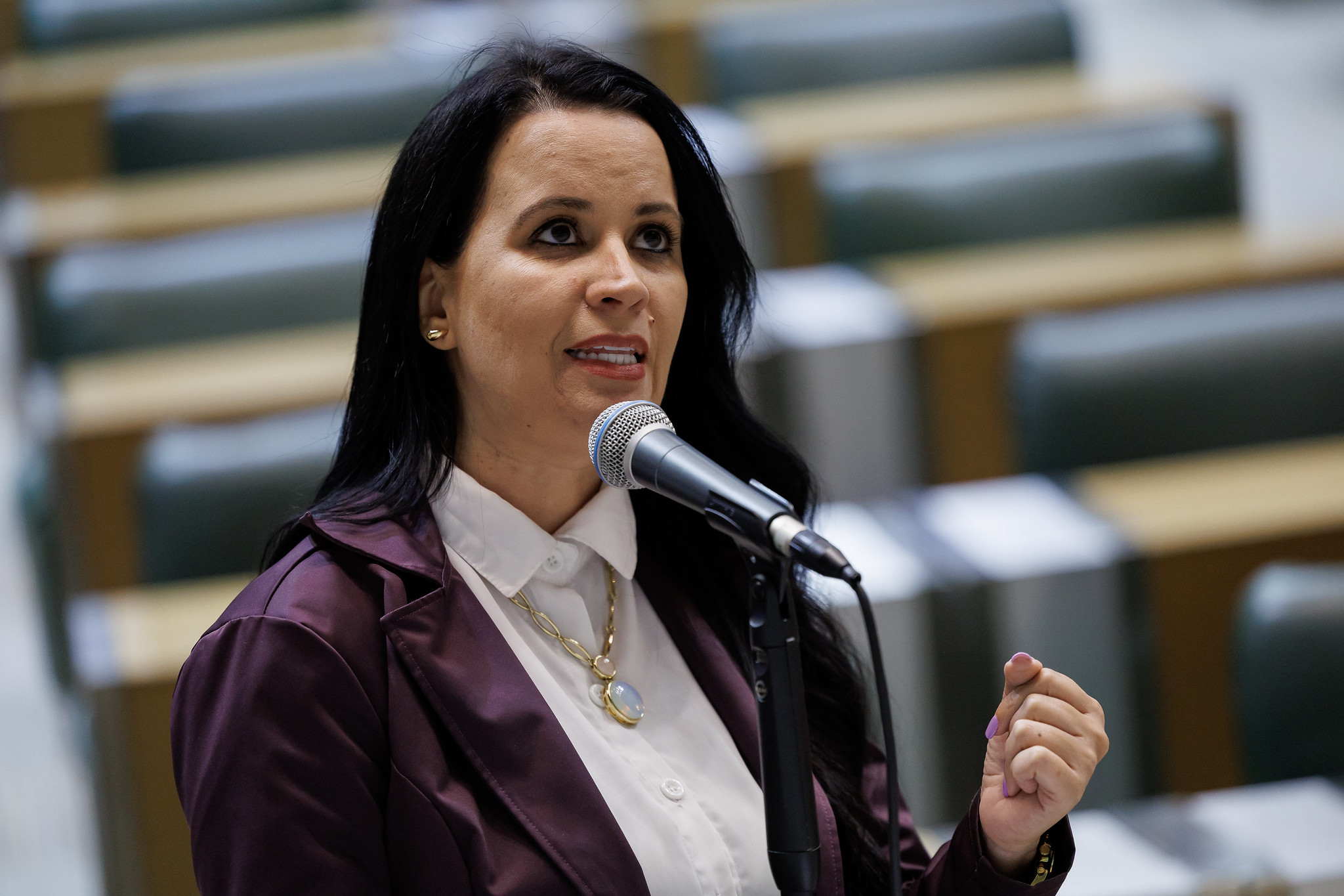 Dep. Letcia Aguiar (PL)<a style='float:right;color:#ccc' href='https://www3.al.sp.gov.br/repositorio/noticia/N-10-2025/fg355122.jpg' target=_blank><i class='bi bi-zoom-in'></i> Clique para ver a imagem </a>