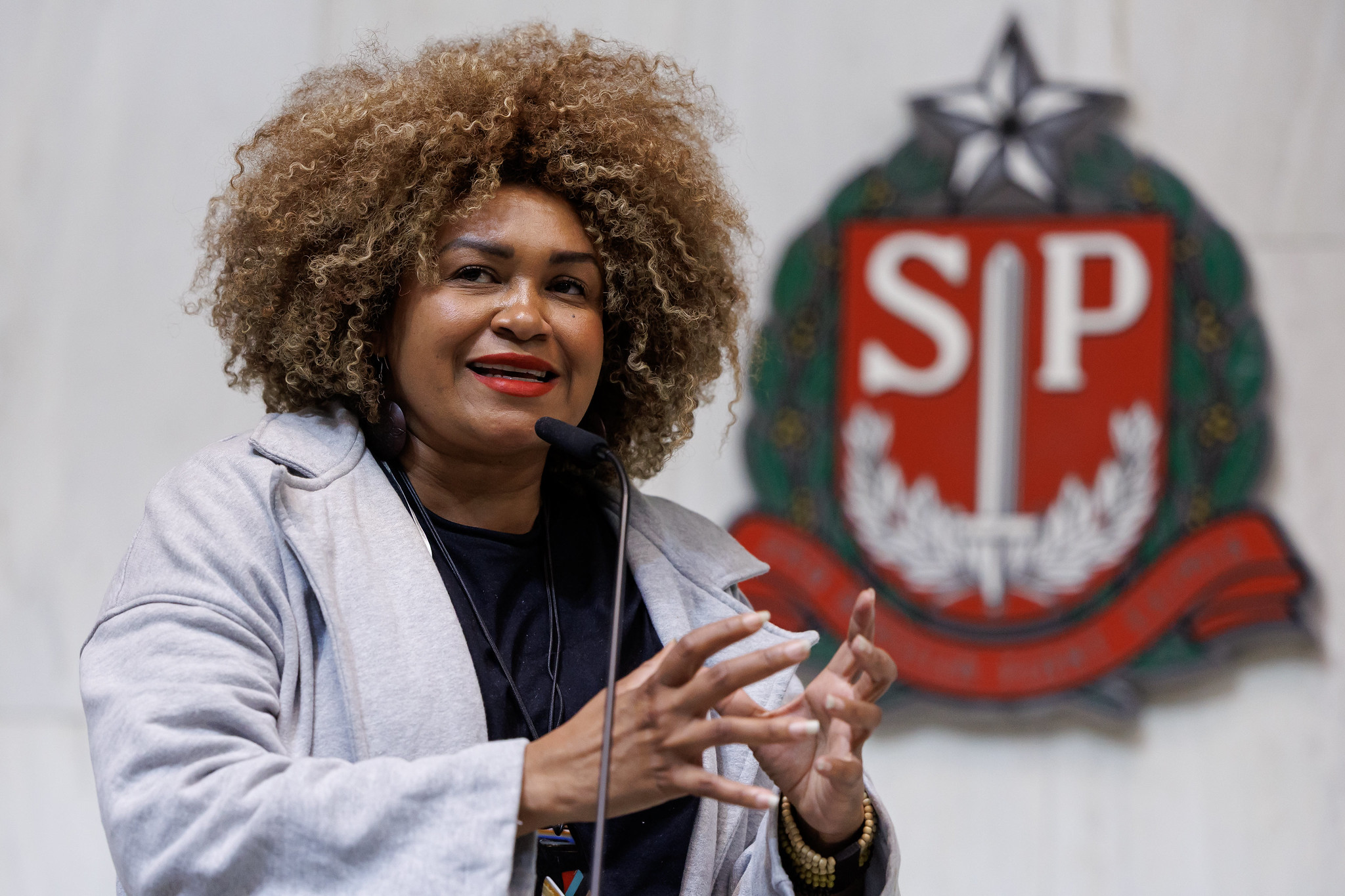 Dep. Ediane Maria (Psol)<a style='float:right;color:#ccc' href='https://www3.al.sp.gov.br/repositorio/noticia/N-10-2025/fg355123.jpg' target=_blank><i class='bi bi-zoom-in'></i> Clique para ver a imagem </a>