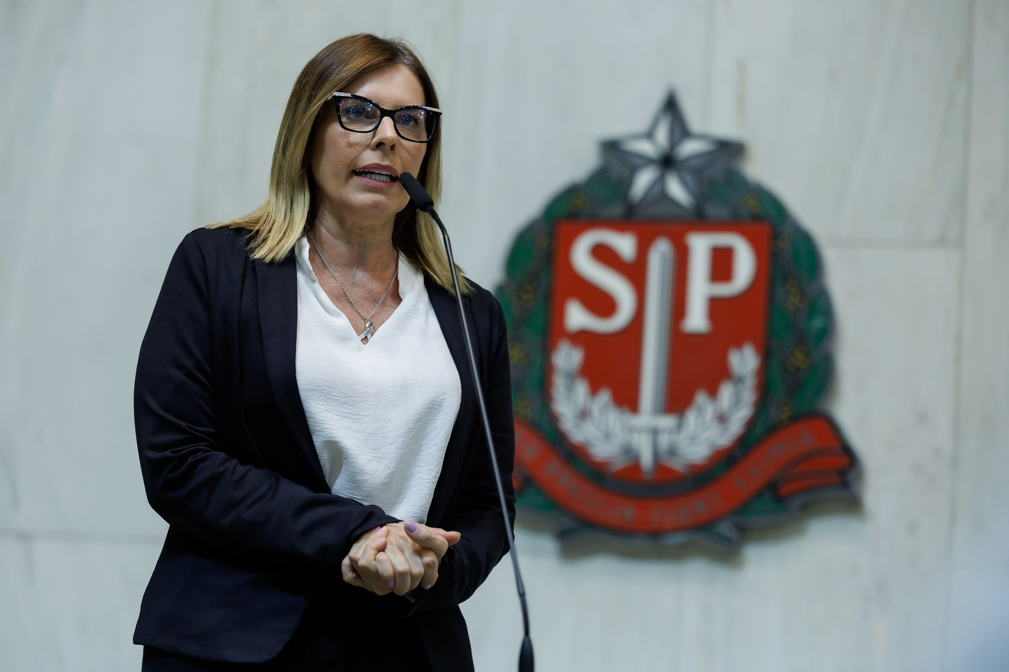 Solange Freitas (Unio): Outubro Rosa<a style='float:right;color:#ccc' href='https://www3.al.sp.gov.br/repositorio/noticia/N-10-2025/fg355506.jpg' target=_blank><i class='bi bi-zoom-in'></i> Clique para ver a imagem </a>