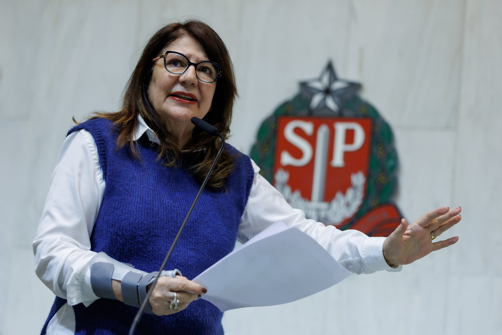 Beth Saho (PT): Outubro Rosa<a style='float:right;color:#ccc' href='https://www3.al.sp.gov.br/repositorio/noticia/N-10-2025/fg355516.jpg' target=_blank><i class='bi bi-zoom-in'></i> Clique para ver a imagem </a>