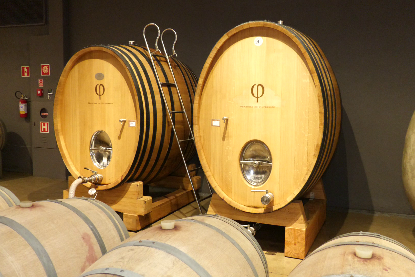 S�o mais de 10 vin�colas na Rota dos Vinhos<a style='float:right;color:#ccc' href='https://www3.al.sp.gov.br/repositorio/noticia/N-10-2026/fg367448.png' target=_blank><i class='bi bi-zoom-in'></i> Clique para ver a imagem </a>