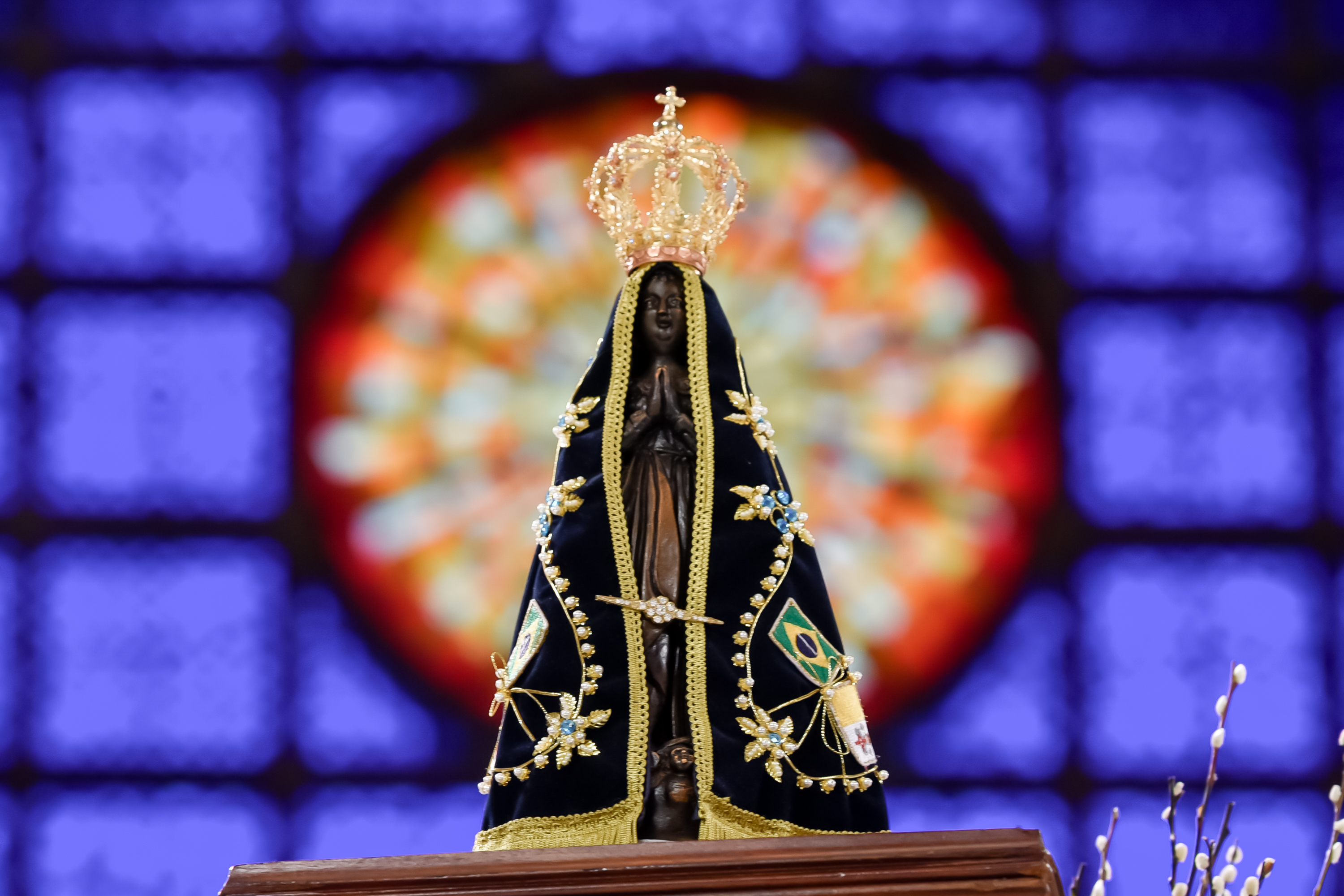 Nossa Senhora Aparecida - Thiago Leon<a style='float:right;color:#ccc' href='https://www3.al.sp.gov.br/repositorio/noticia/N-10-2026/fg367452.jpg' target=_blank><i class='bi bi-zoom-in'></i> Clique para ver a imagem </a>