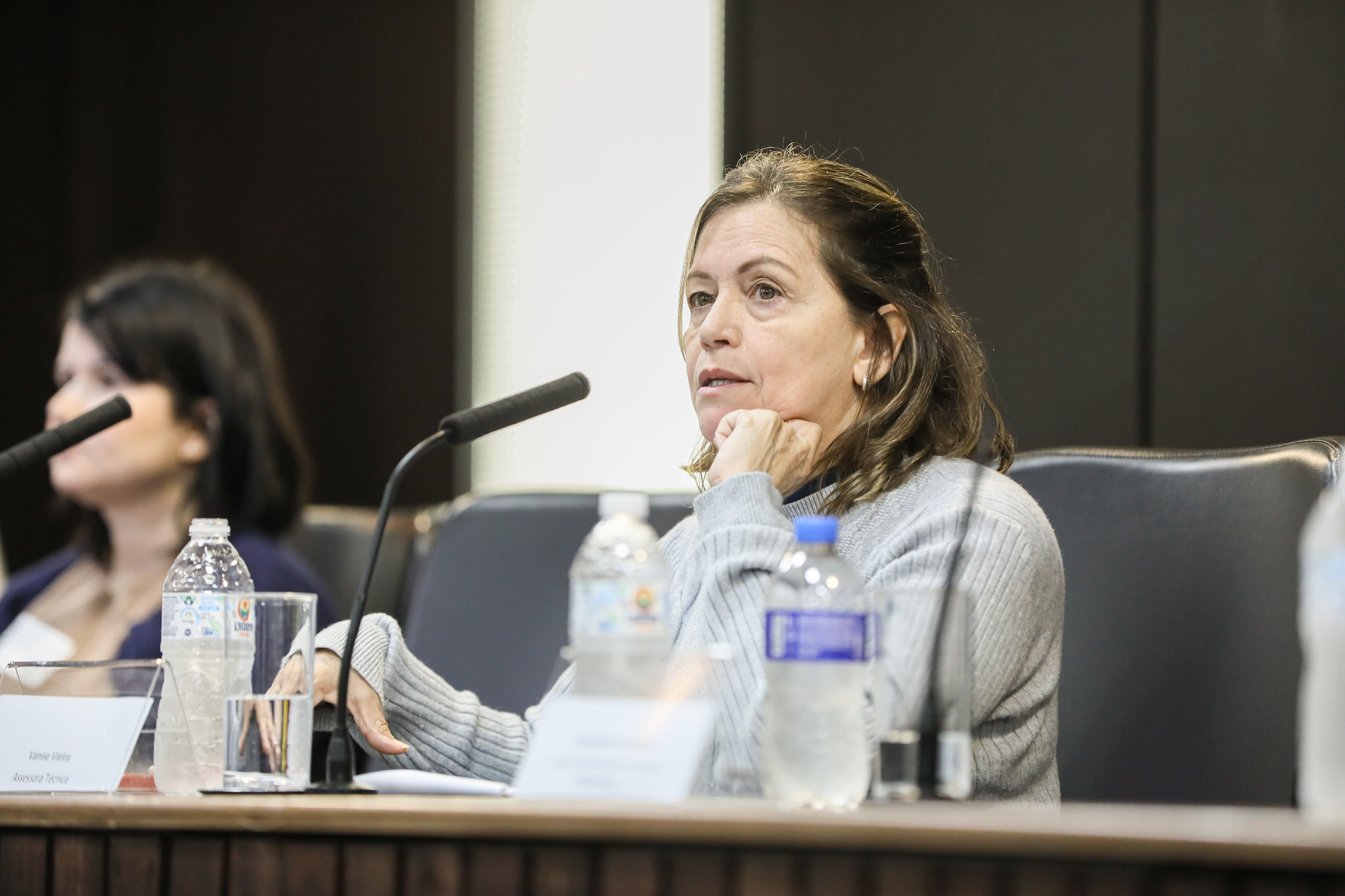 Vanise: pontos cr�ticos inclui troca de CNPJ <a style='float:right' href='https://www3.al.sp.gov.br/repositorio/noticia/N-10-2026/fg367536.jpg' target=_blank><img src='/_img/material-file-download-white.png' width='14px' alt='Clique para baixar a imagem'></a>