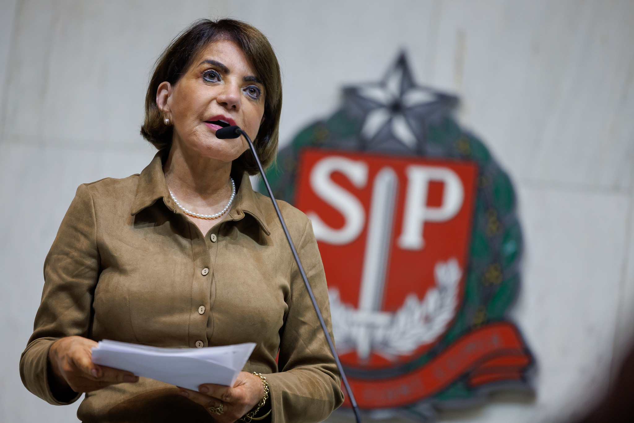 Professora Bebel (PT)<a style='float:right;color:#ccc' href='https://www3.al.sp.gov.br/repositorio/noticia/N-10-2026/fg367540.jpg' target=_blank><i class='bi bi-zoom-in'></i> Clique para ver a imagem </a>