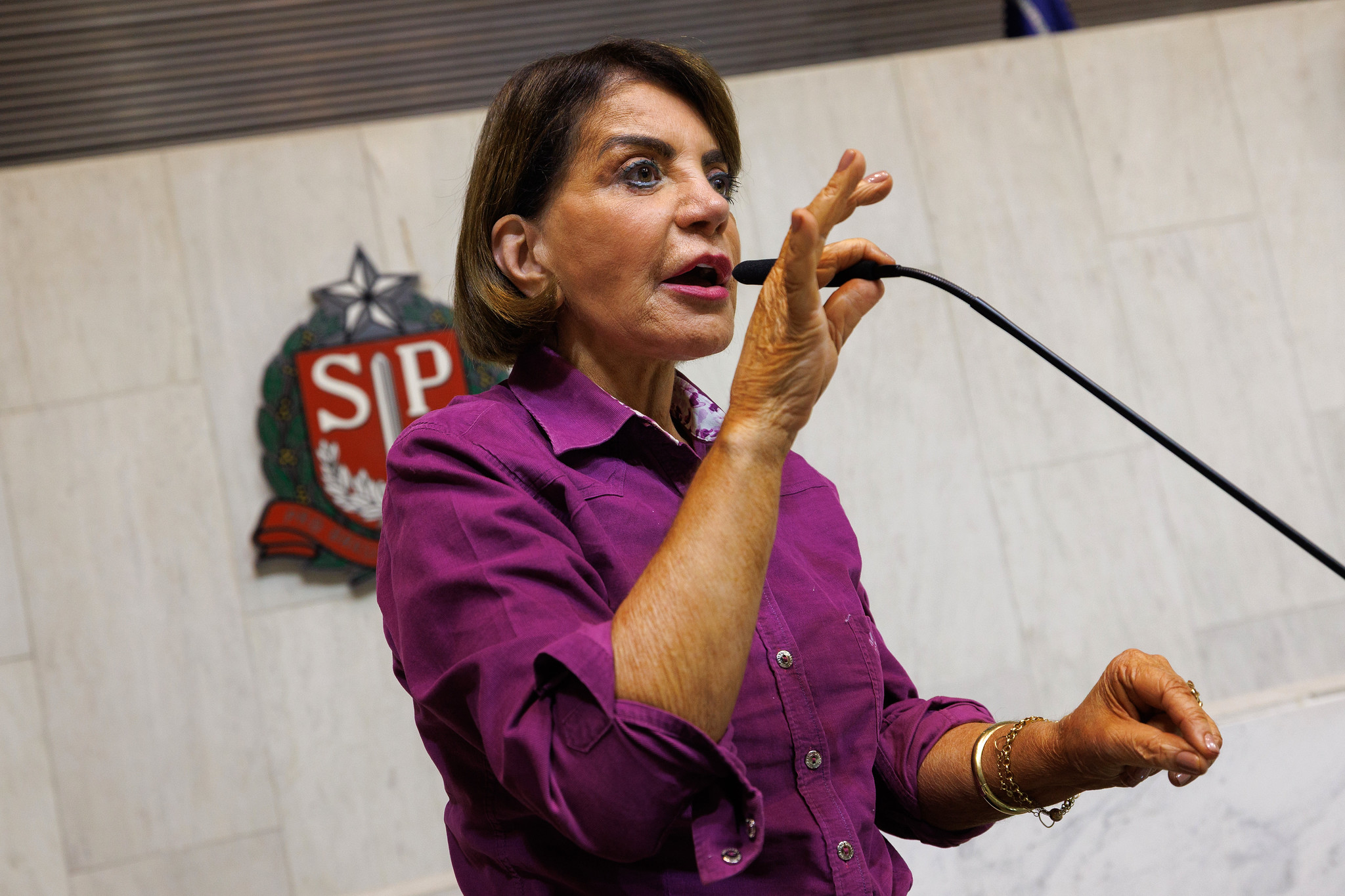 Deputada Professora Bebel <a style='float:right;color:#ccc' href='https://www3.al.sp.gov.br/repositorio/noticia/N-10-2026/fg367551.jpg' target=_blank><i class='bi bi-zoom-in'></i> Clique para ver a imagem </a>