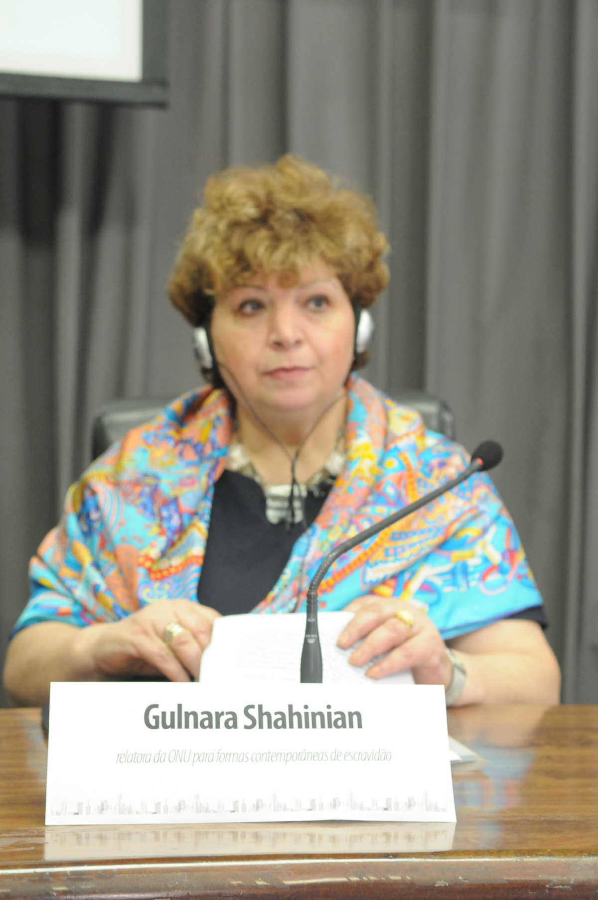 Gulnara Shahinian, relatora especial da Organizao das Naes Unidas<a style='float:right;color:#ccc' href='https://www3.al.sp.gov.br/repositorio/noticia/N-11-2012/fg119154.jpg' target=_blank><i class='bi bi-zoom-in'></i> Clique para ver a imagem </a>