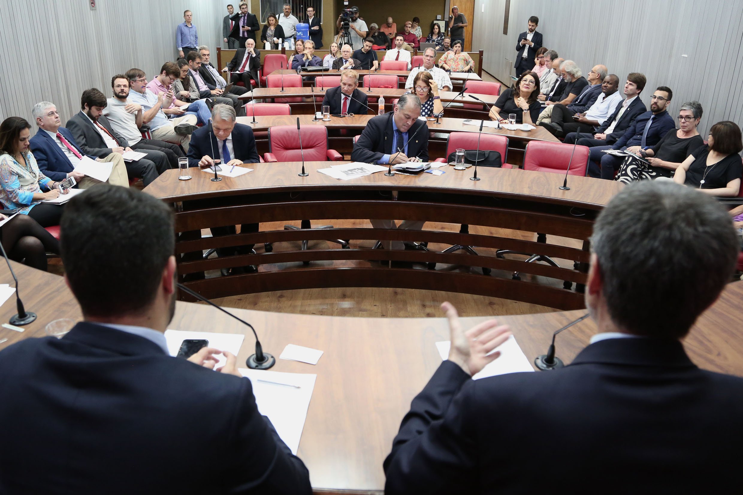 Parlamentares na comissão<a style='float:right' href='https://www3.al.sp.gov.br/repositorio/noticia/N-11-2019/fg244672.jpg' target=_blank><img src='/_img/material-file-download-white.png' width='14px' alt='Clique para baixar a imagem'></a>