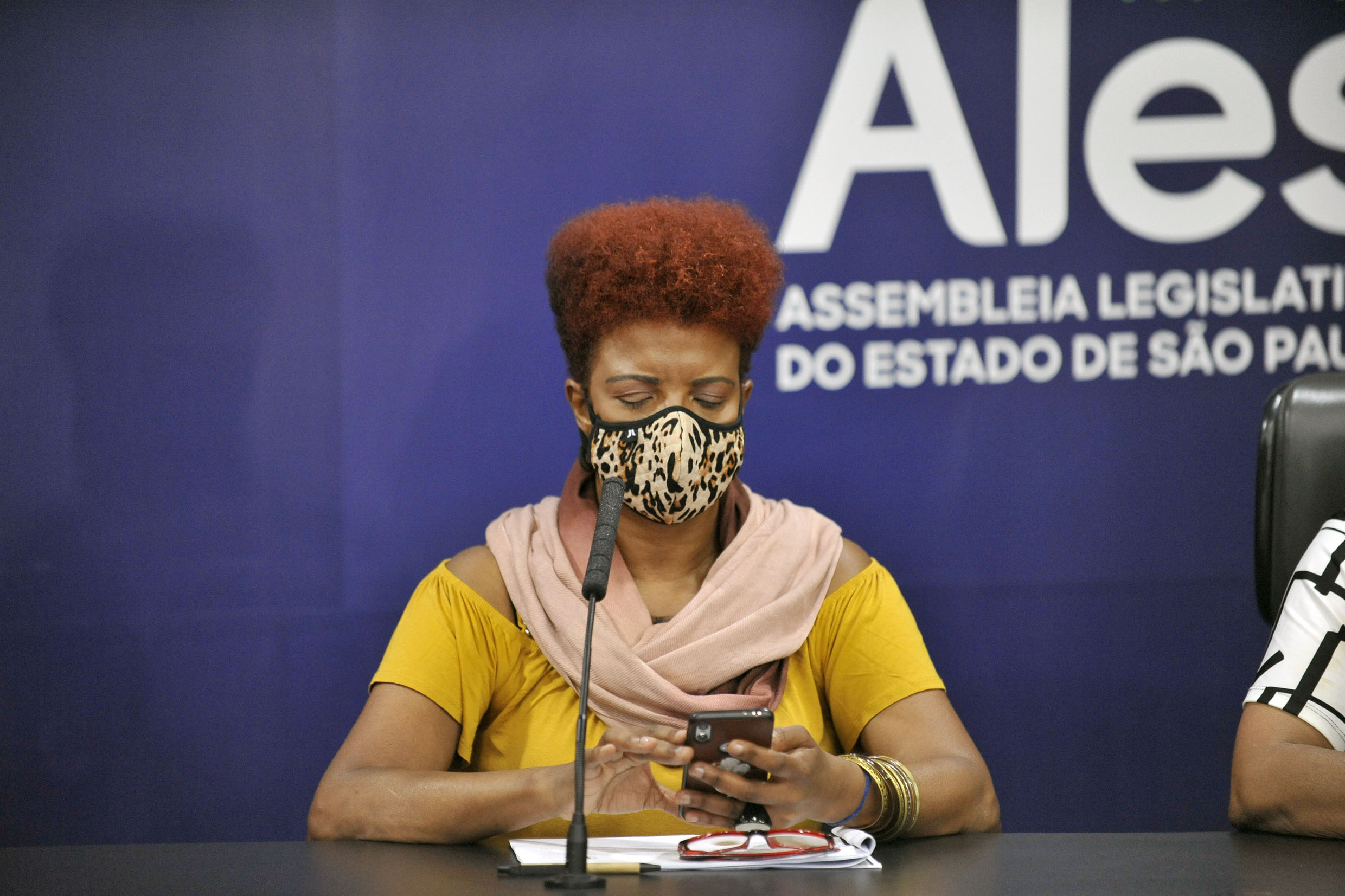 Rozina de Jesus<a style='float:right;color:#ccc' href='https://www3.al.sp.gov.br/repositorio/noticia/N-11-2021/fg277675.jpg' target=_blank><i class='bi bi-zoom-in'></i> Clique para ver a imagem </a>