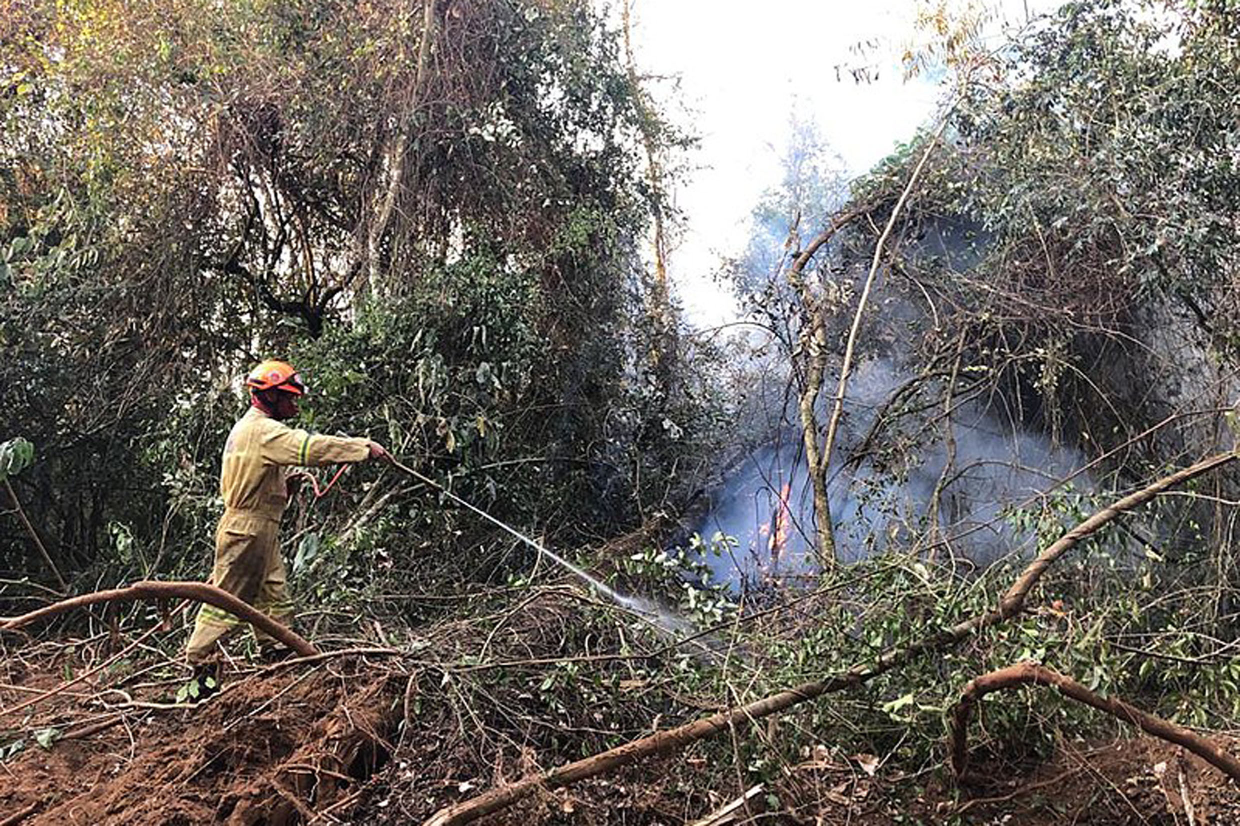 Aprovadas na Alesp leis que combatem incndios florestais so sancionadas<a style='float:right;color:#ccc' href='https://www3.al.sp.gov.br/repositorio/noticia/N-11-2021/fg279014.jpg' target=_blank><i class='bi bi-zoom-in'></i> Clique para ver a imagem </a>